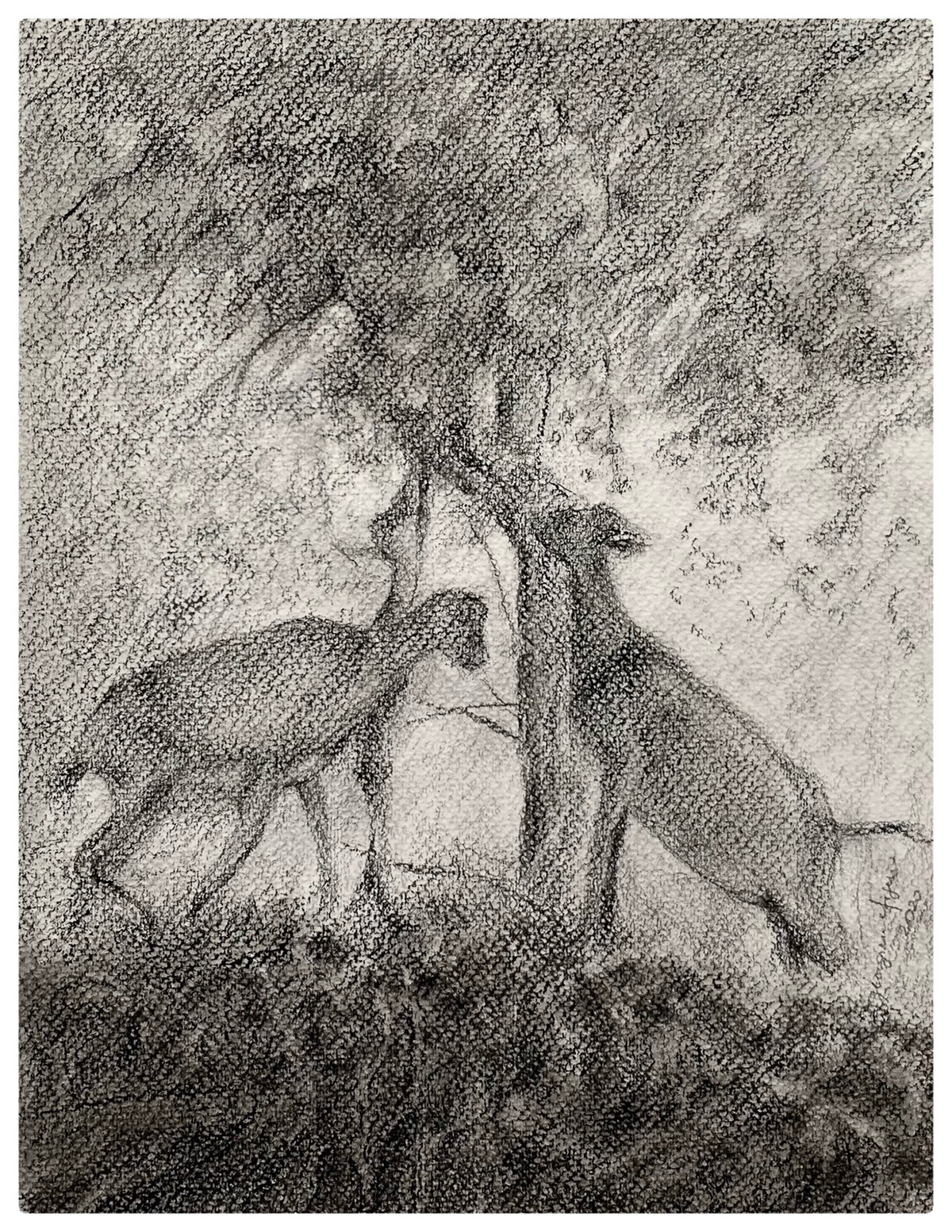 Jardim do Éden, 2020 Carvão s/papel 29x19cm C/ moldur - 200€