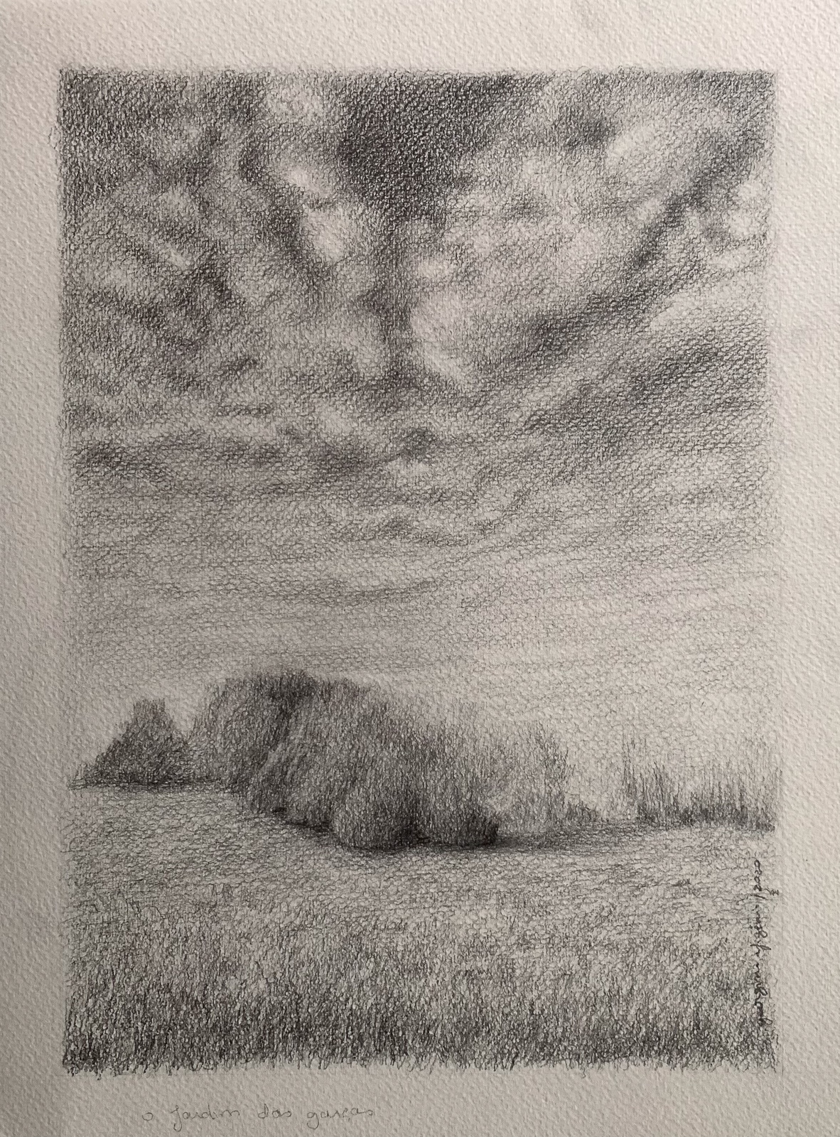 O jardim das garças, 2020 Grafite s/papel 29x19cm C/ moldura - 200€