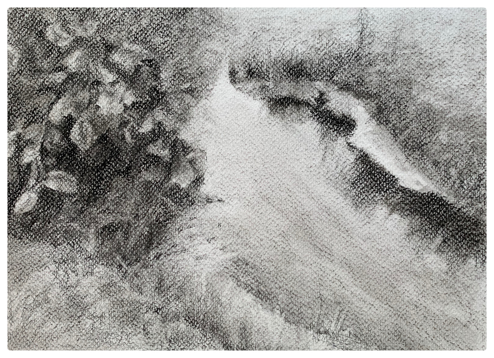 Em busca do paraíso perdido, 2020 Carvão s/papel 24x32cm C/ moldura - 200€