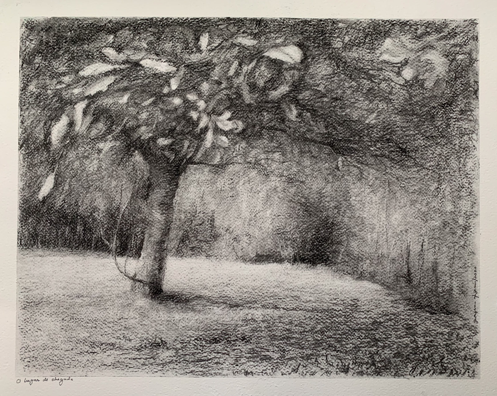 O sítio da chegada, 2020 Carvão s/papel 40,5x50,5cm C/ moldura - 250€