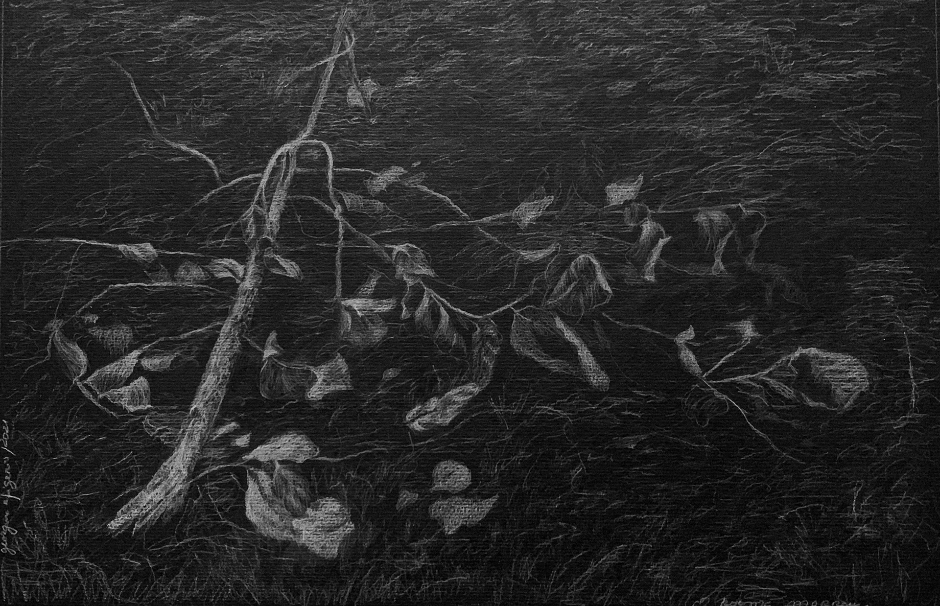 O poema morreu, 2021  Lápis s/cartão 29,5x42cm - 200€