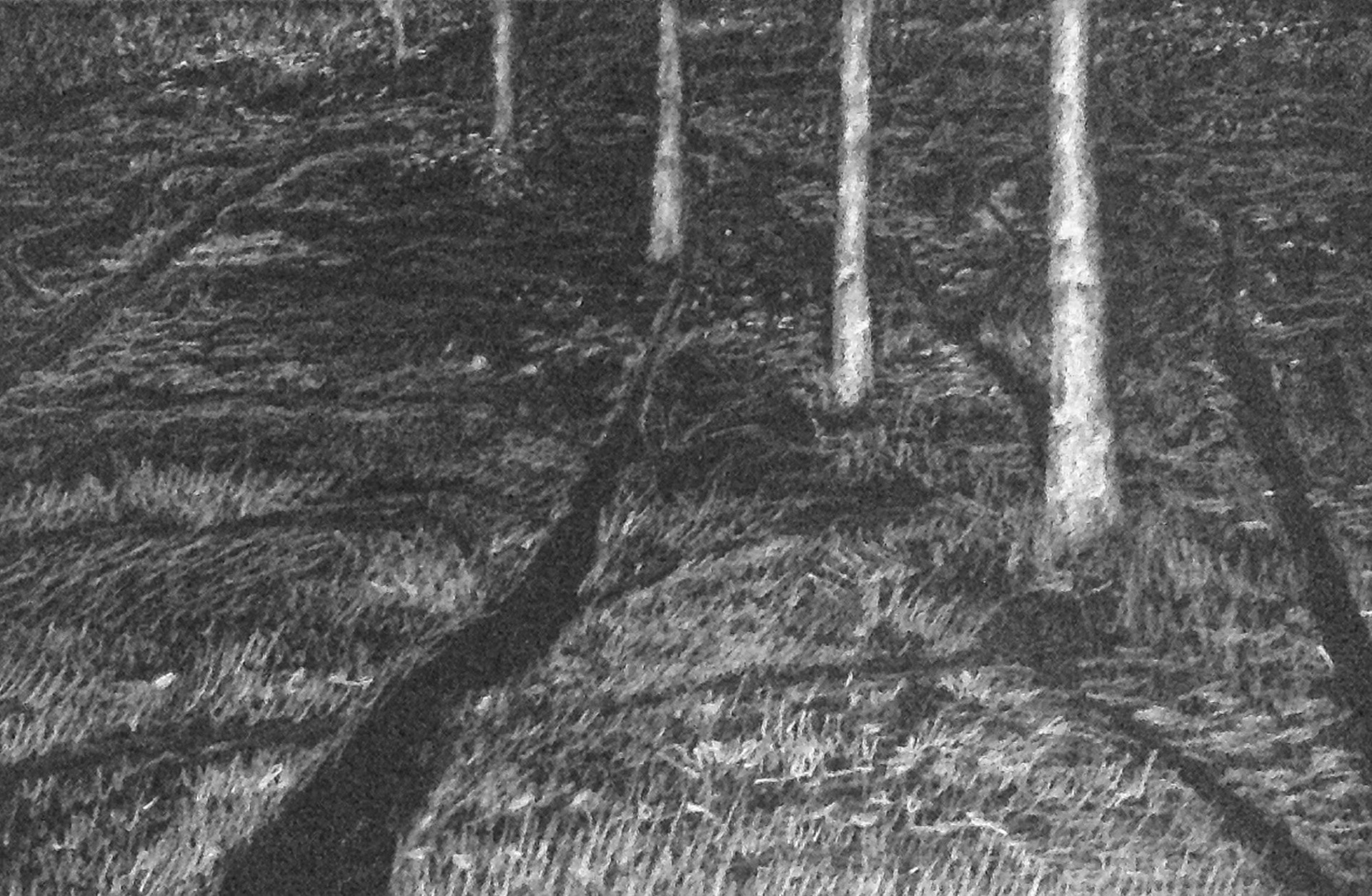 Em tempos de escuridão, 2020  Lápis s/cartão 19x29cm C/ moldura - 150€