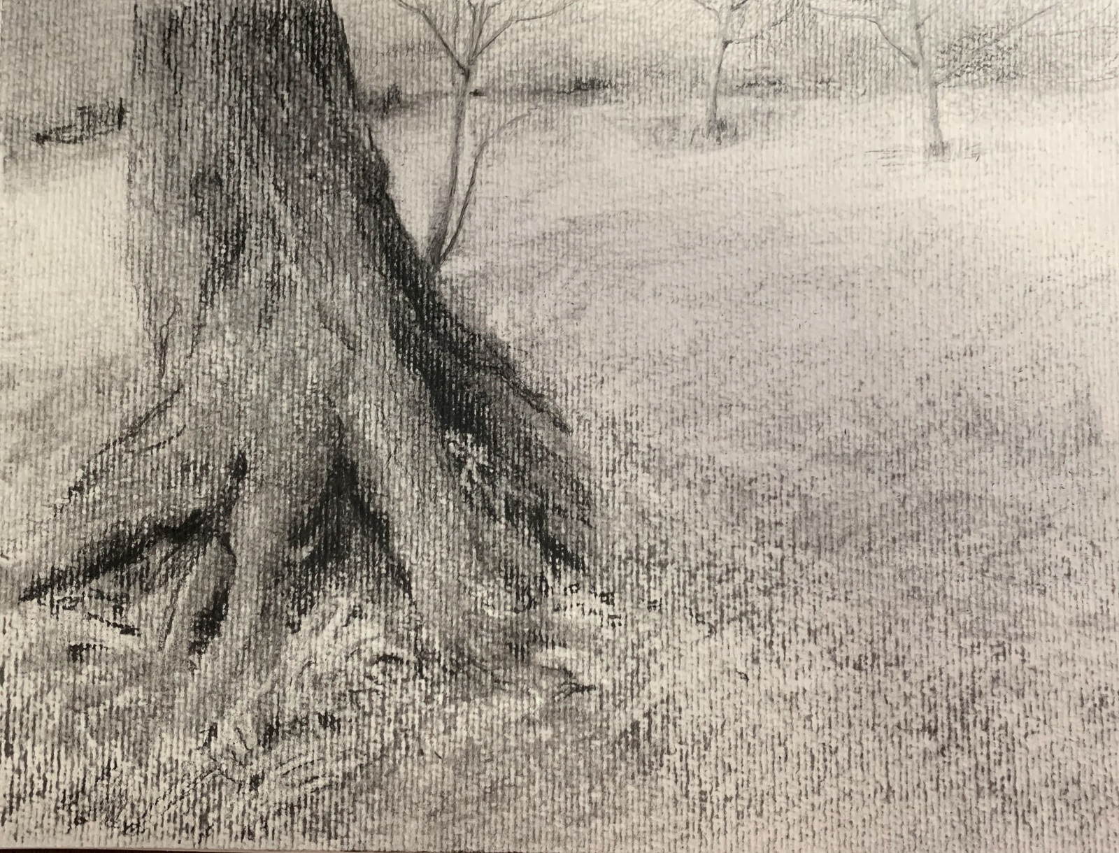 O silencio do medo 1 Carvão s/papel montado em tela 18X24cm C/moldura - 150€