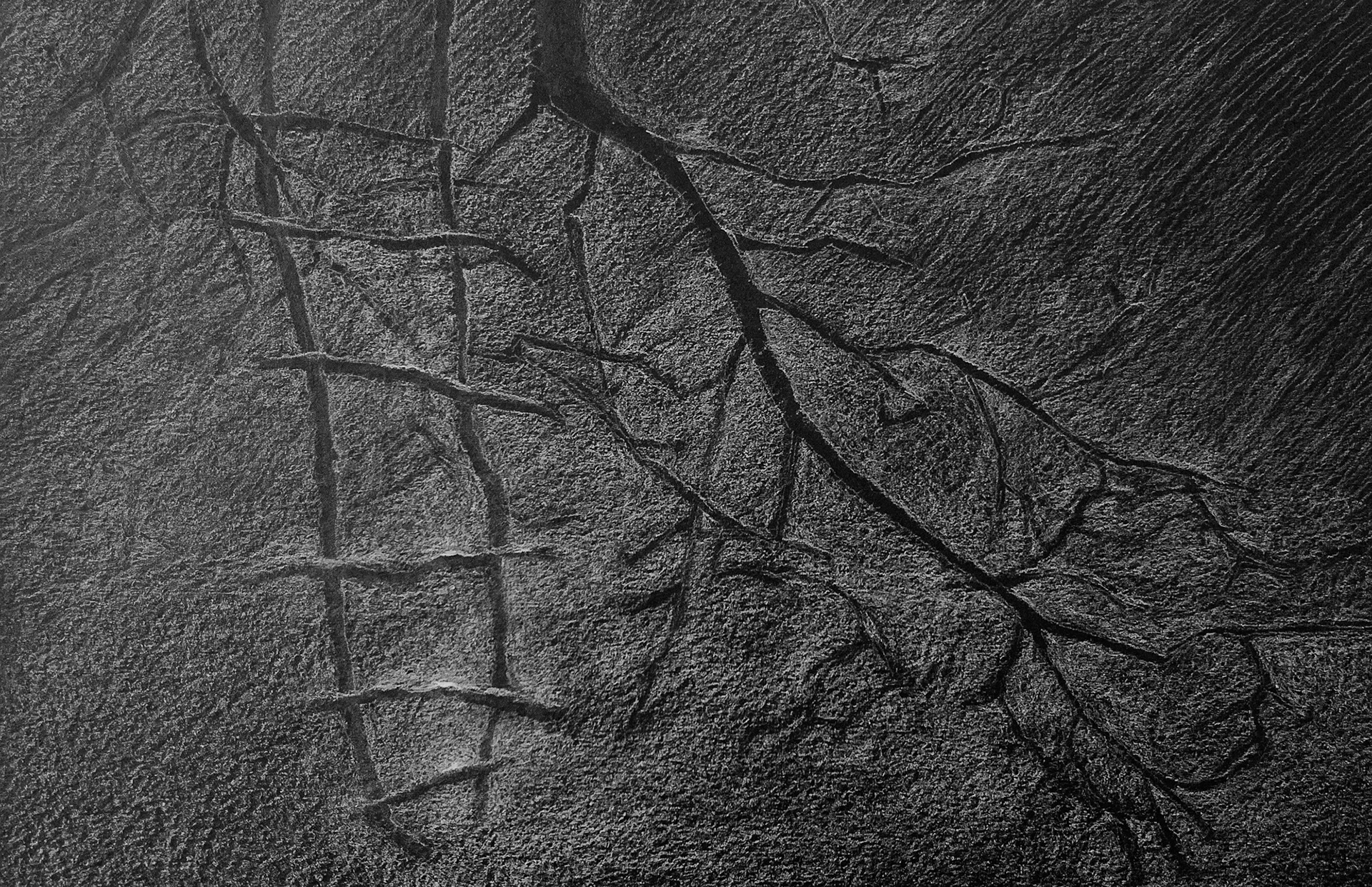 Em tempos de escuridão IV, 2020  Lápis s/cartão 19x29cm C/ moldura - 150€