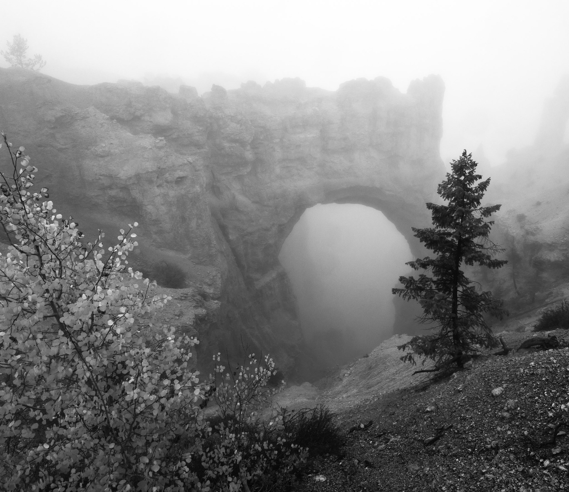 Descending into the Fog