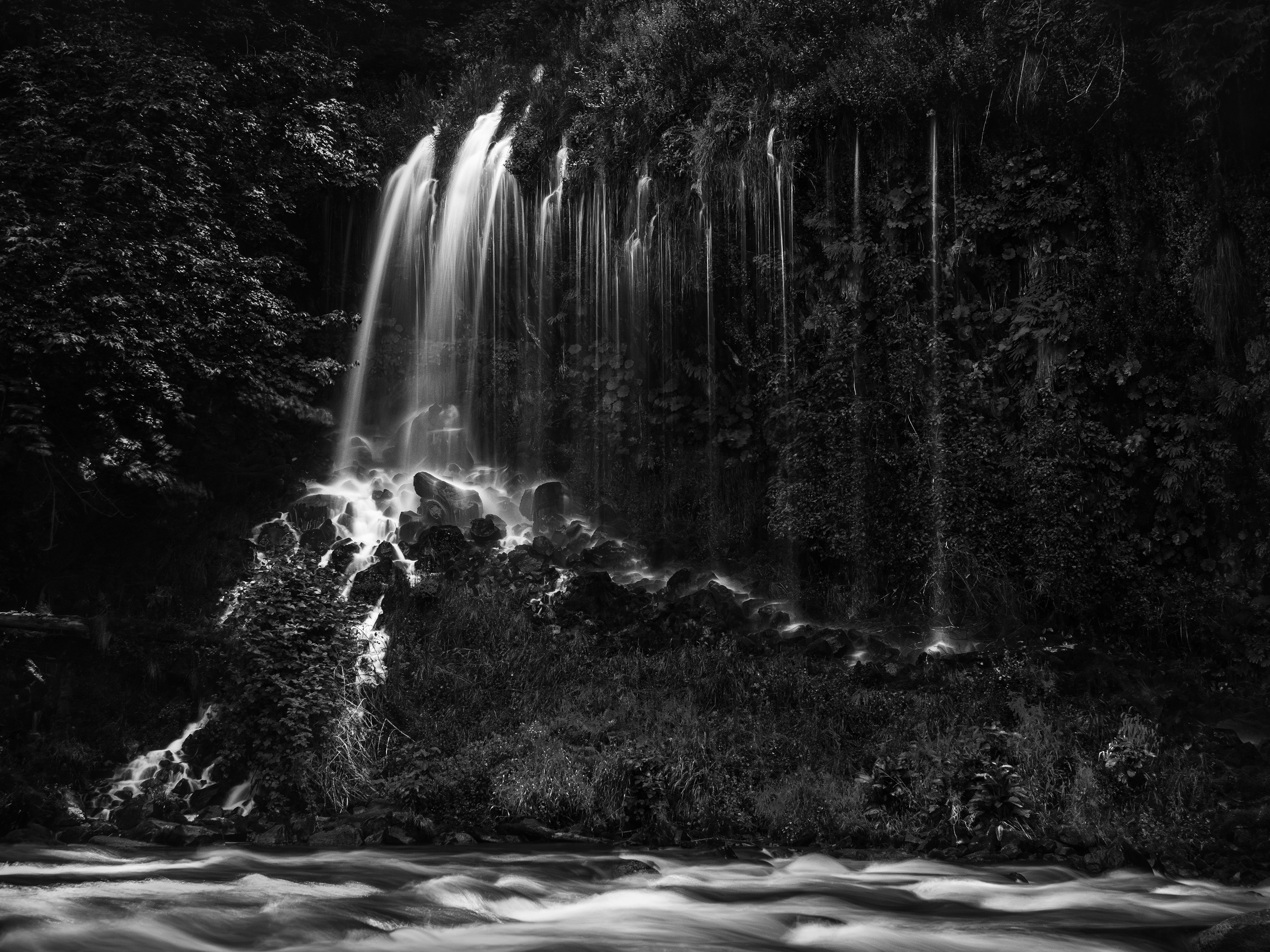 Water Flows from a Forest