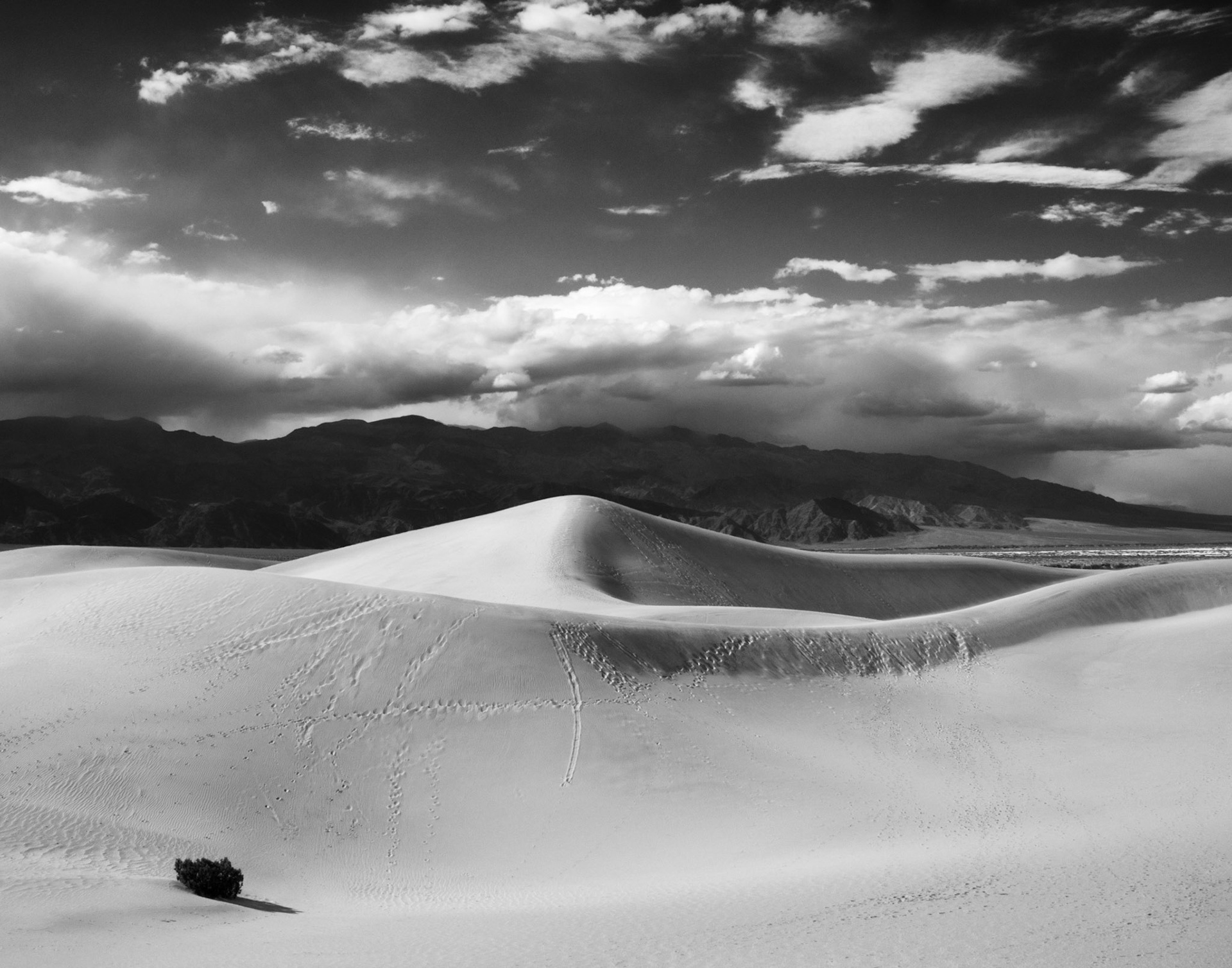 Mesquite Flat Dunes #1