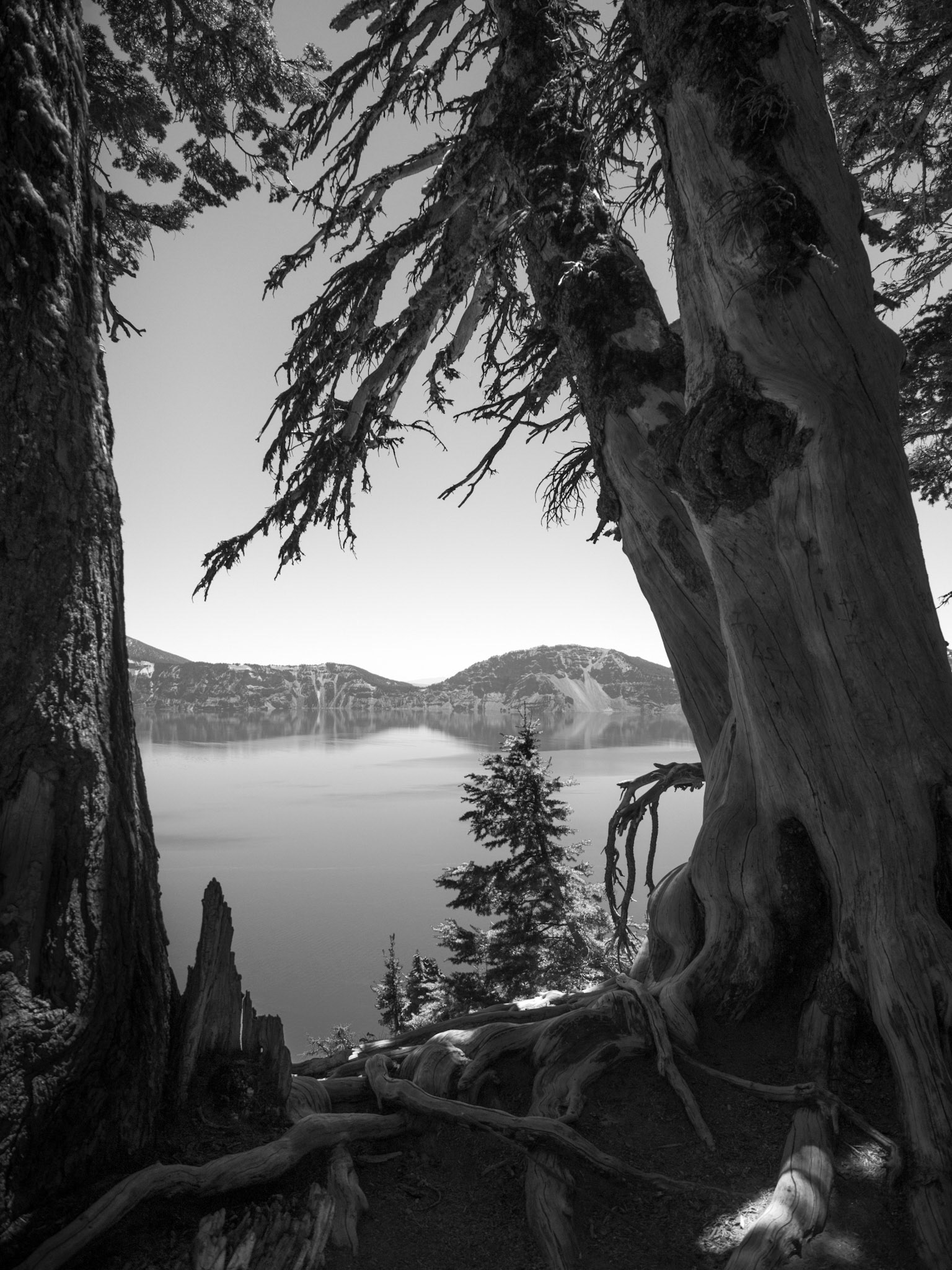 Crater Lake Through the Trees