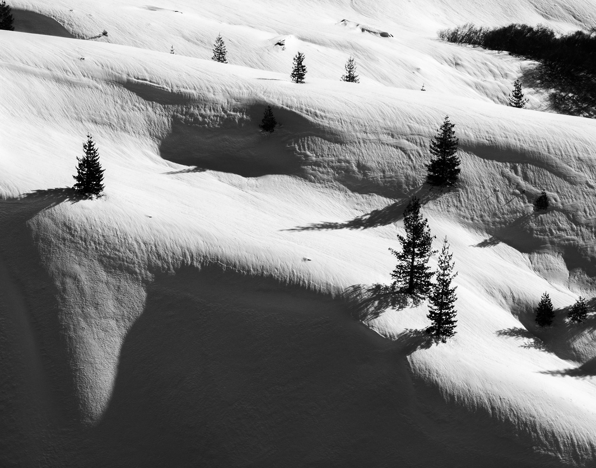 Sunrise on Snow