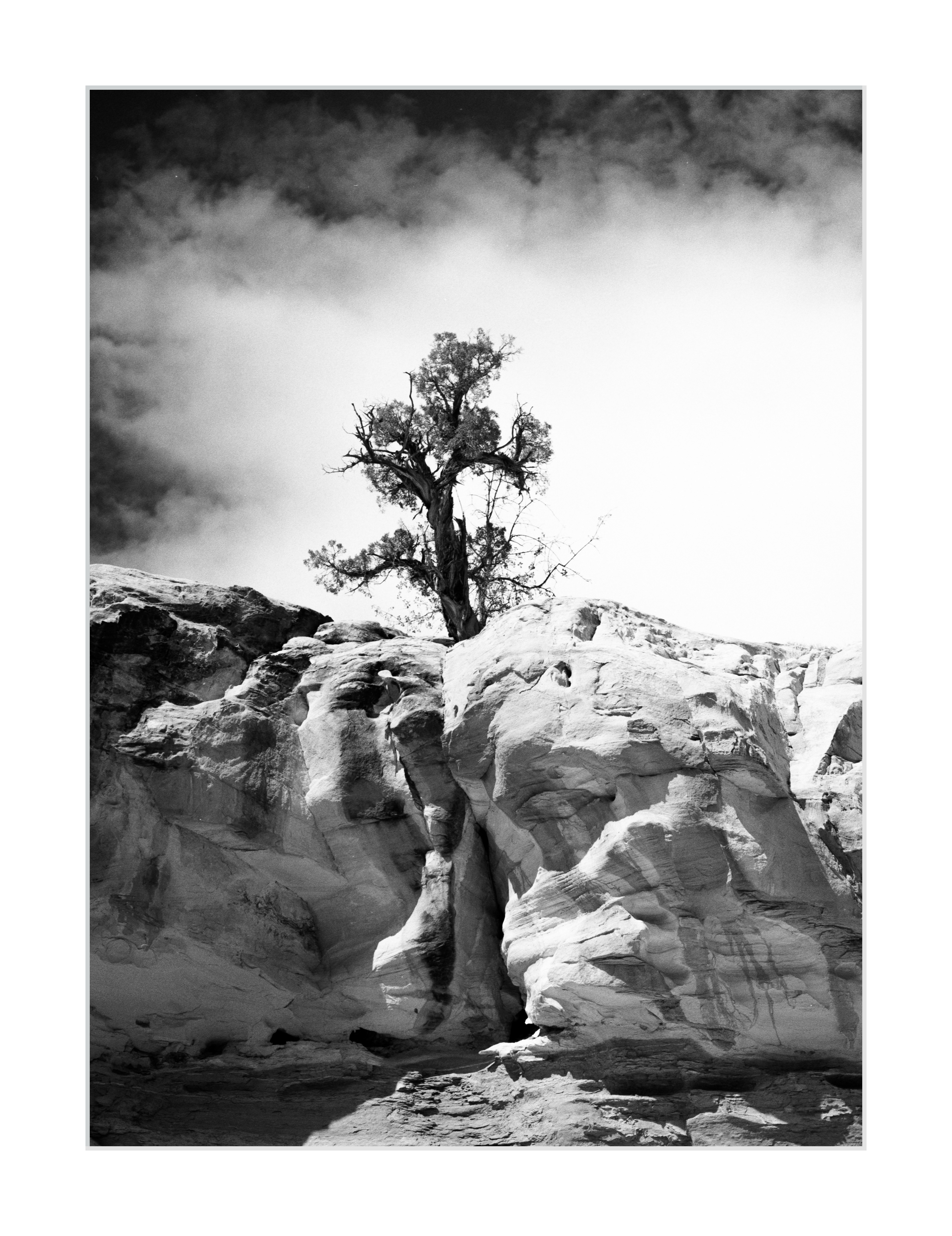 Perched Above Cohab Canyon