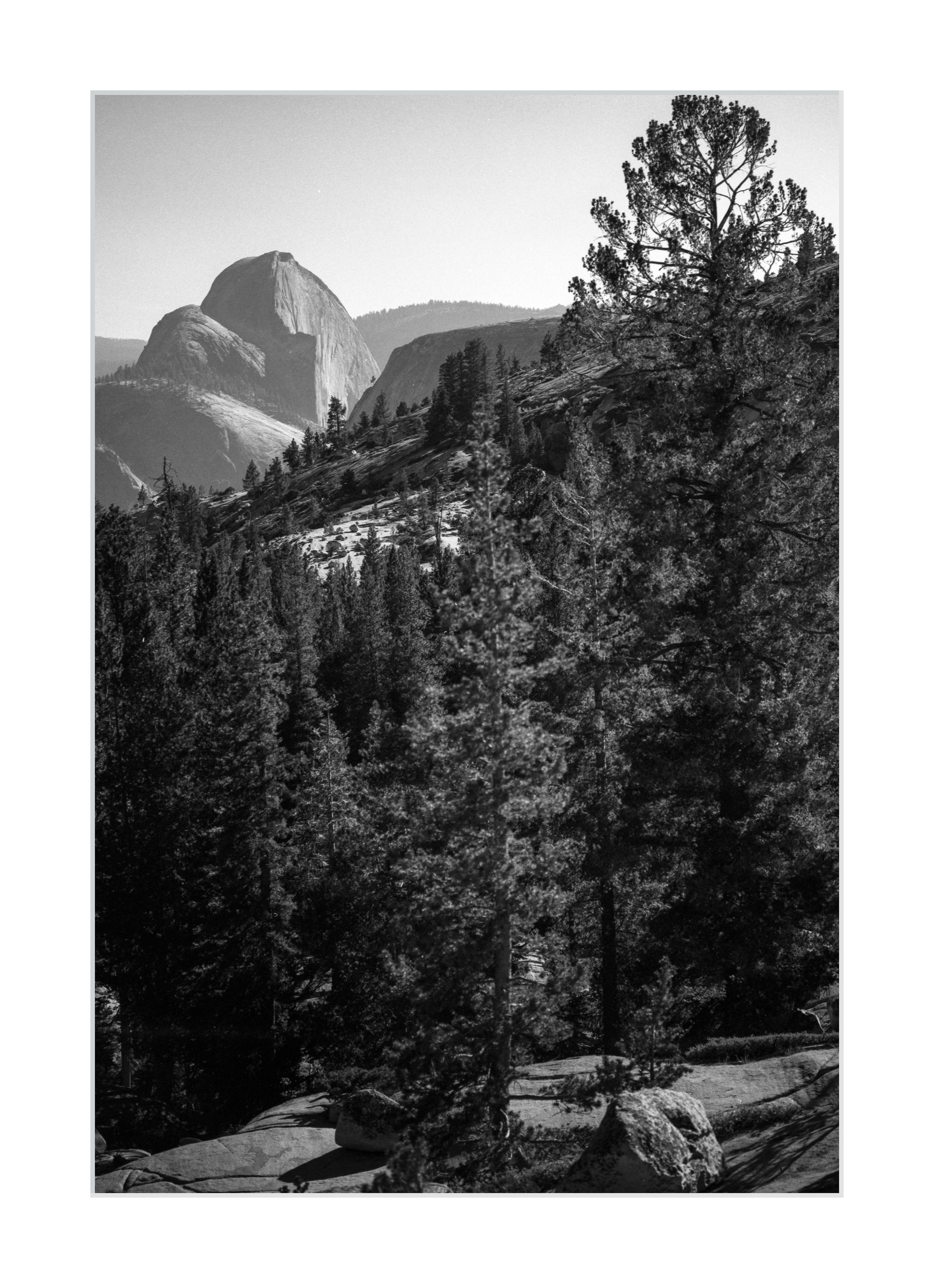 Half Dome from Olmsted Point
