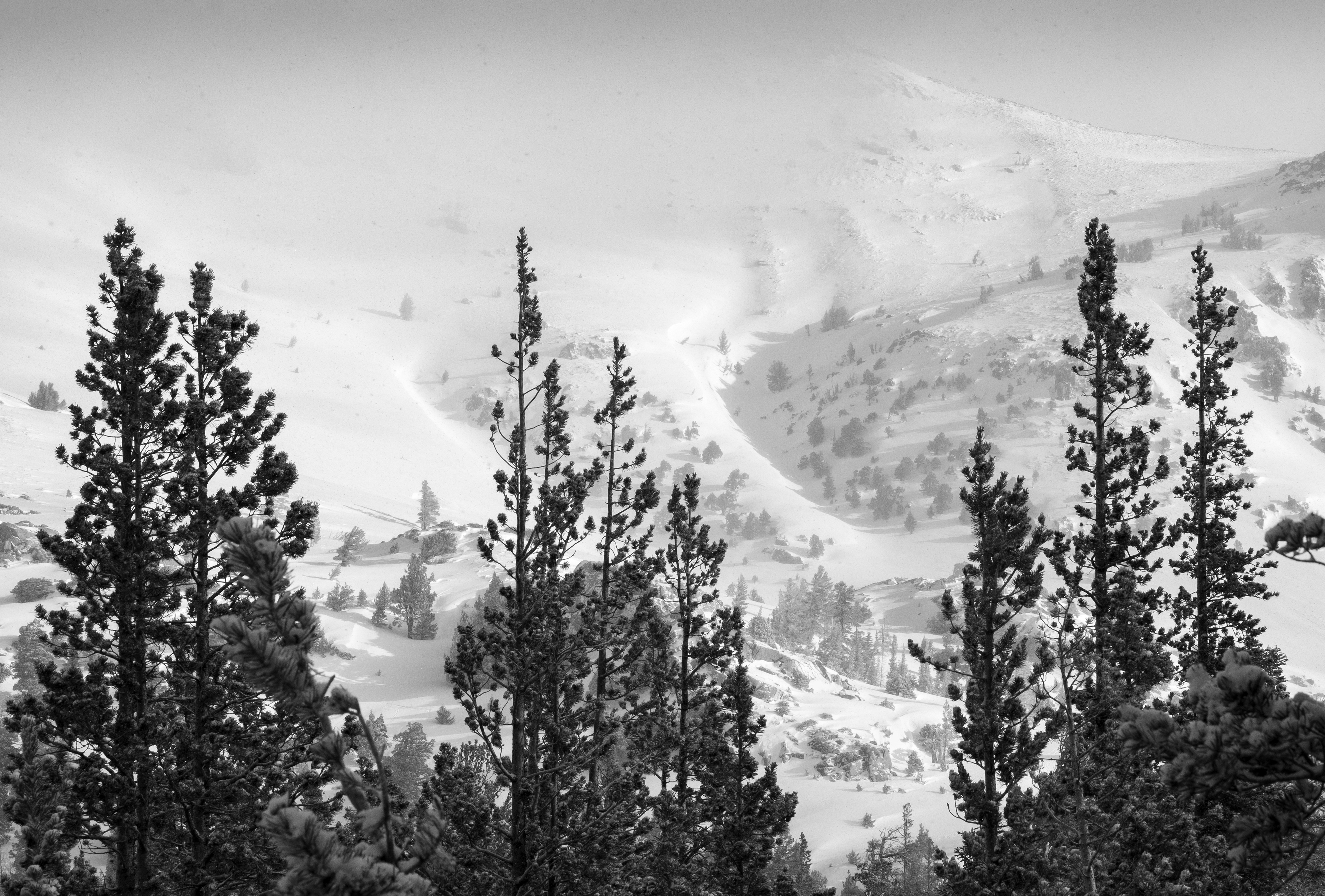 Low Clouds Over Snow Covered Slopes