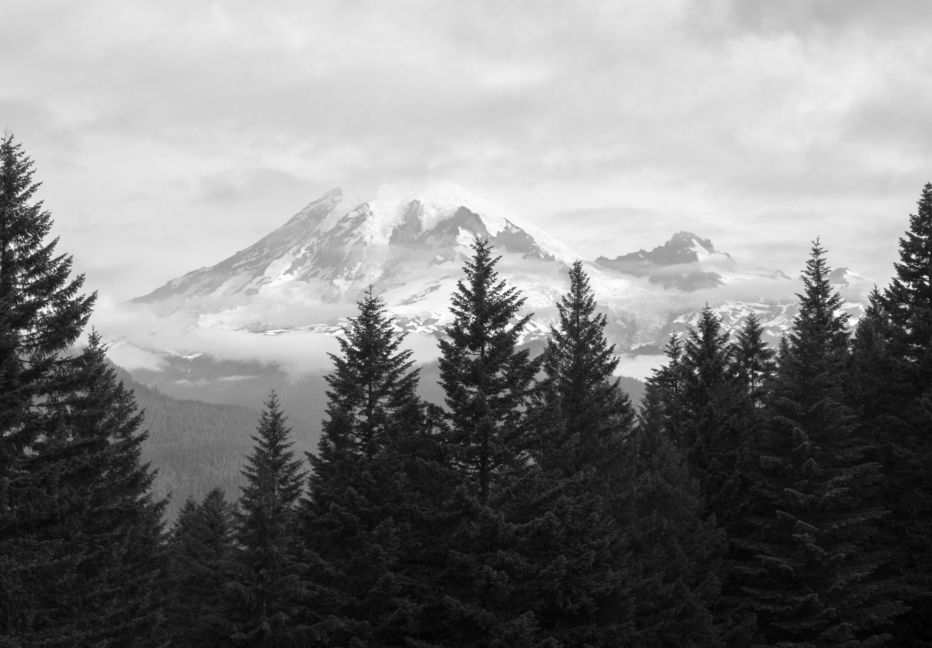 Mount Rainier in the Morning Fog