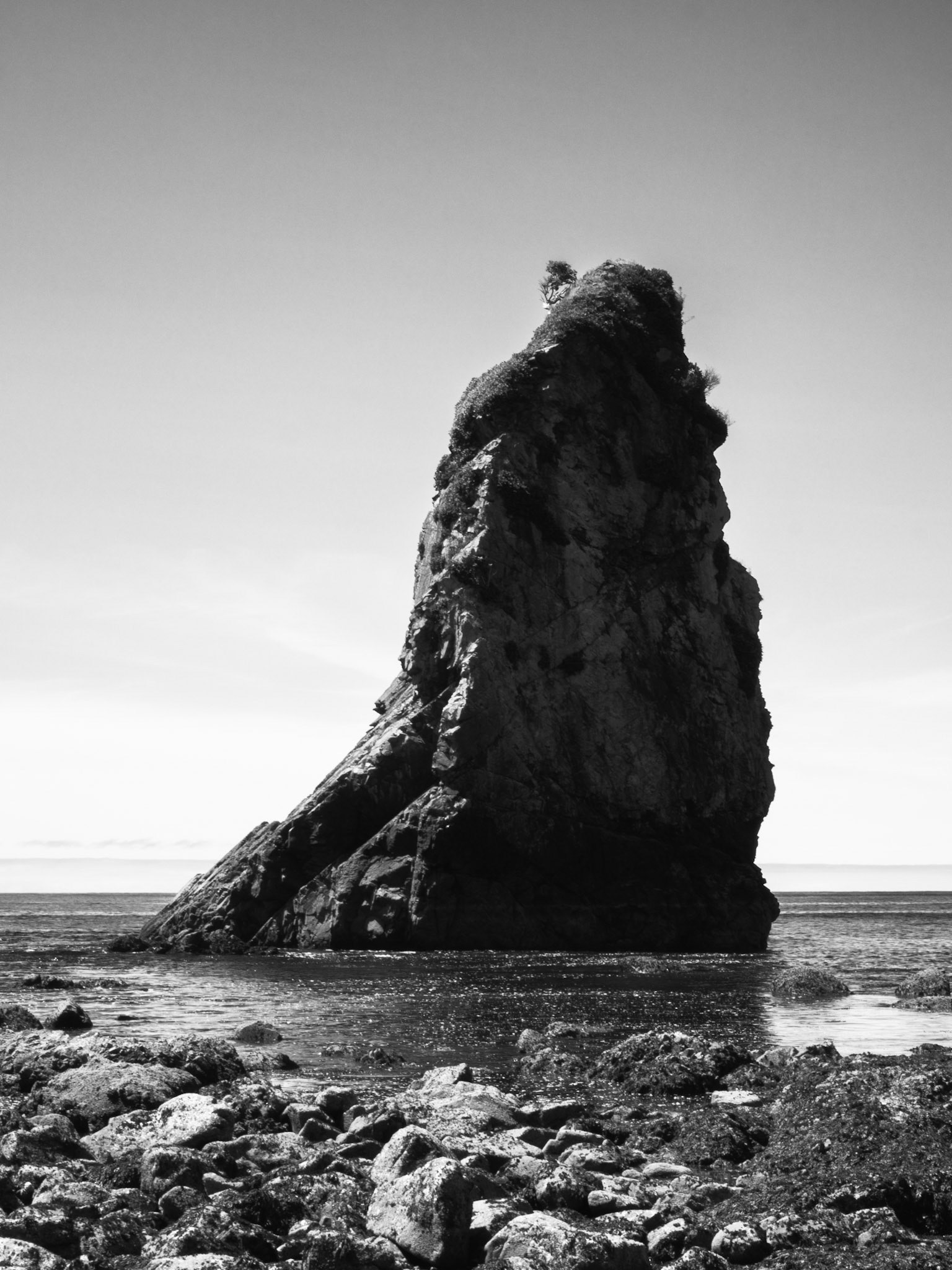 A Rock Formation on the Olympic Coast