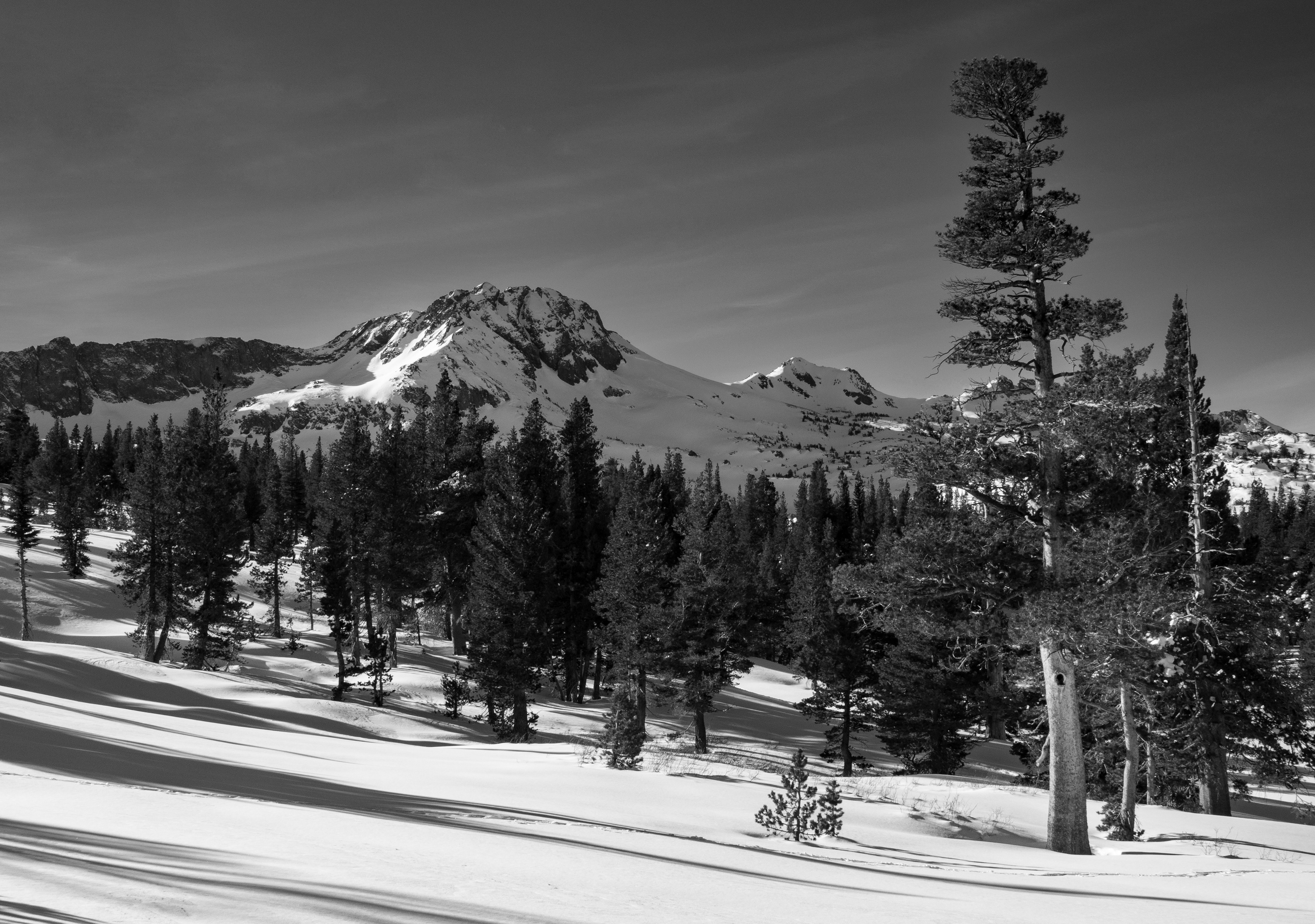 Mokelumne Wilderness in Early Winter 2