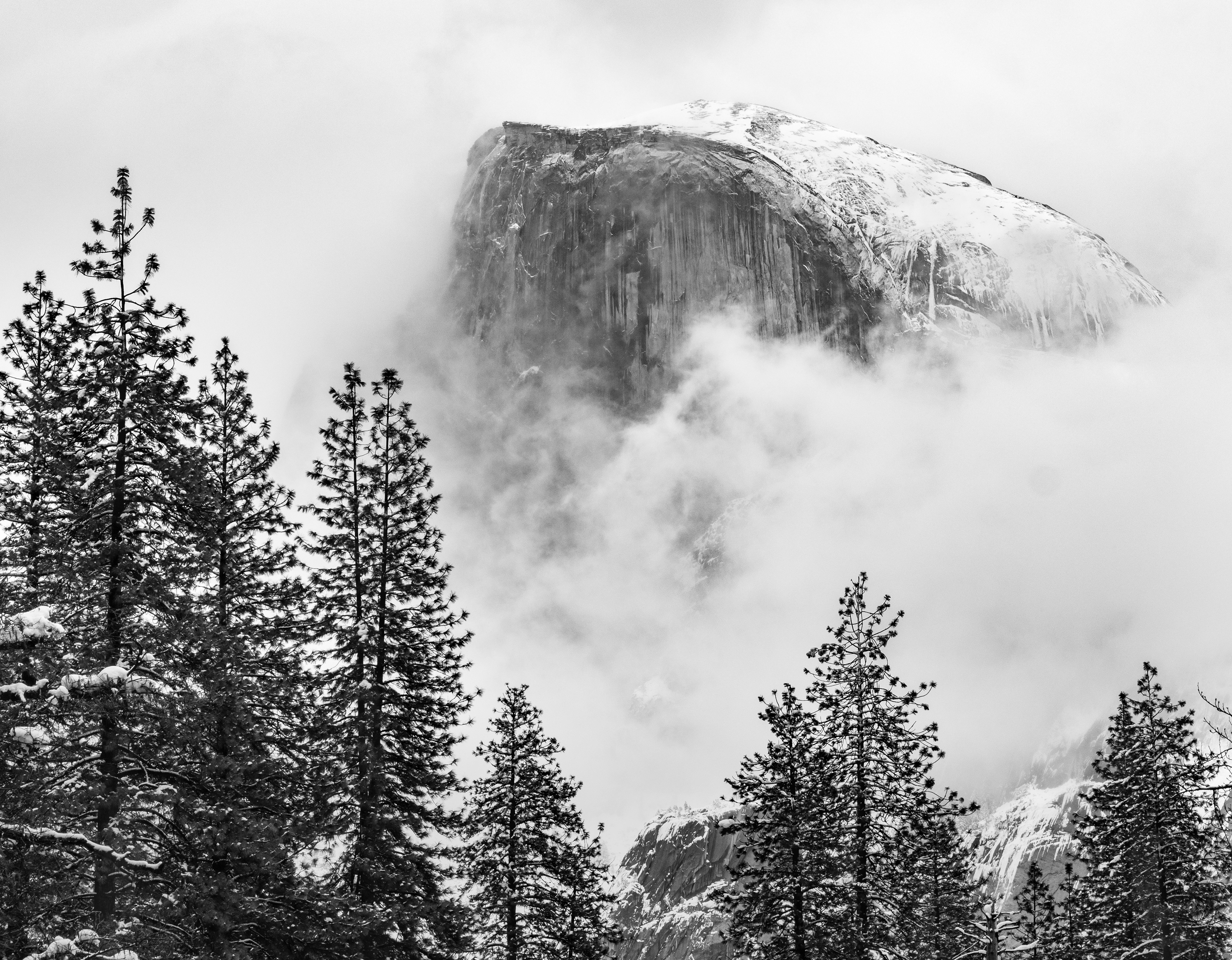 Half Dome Emerging from Winter Fog