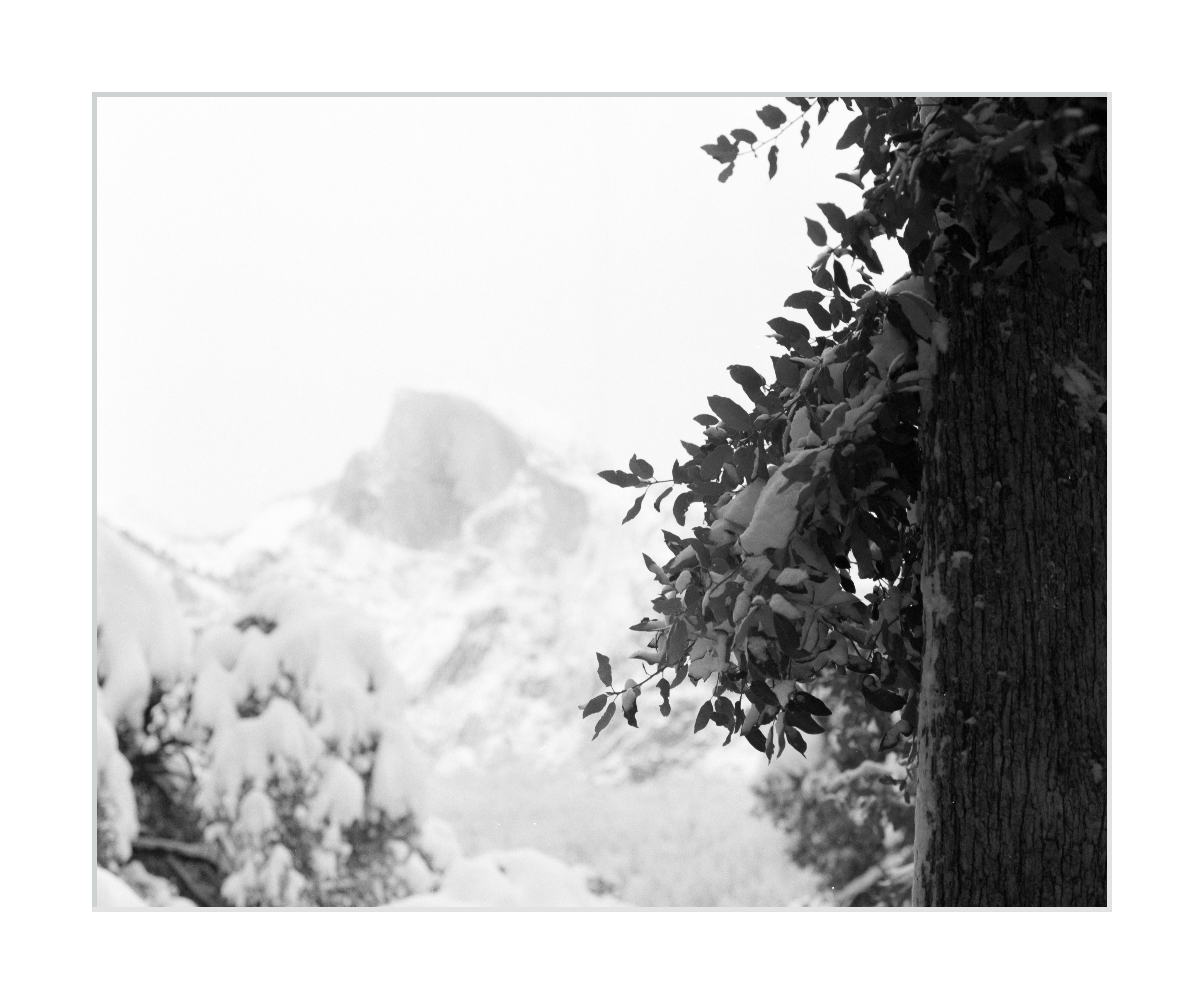 Snow Covered