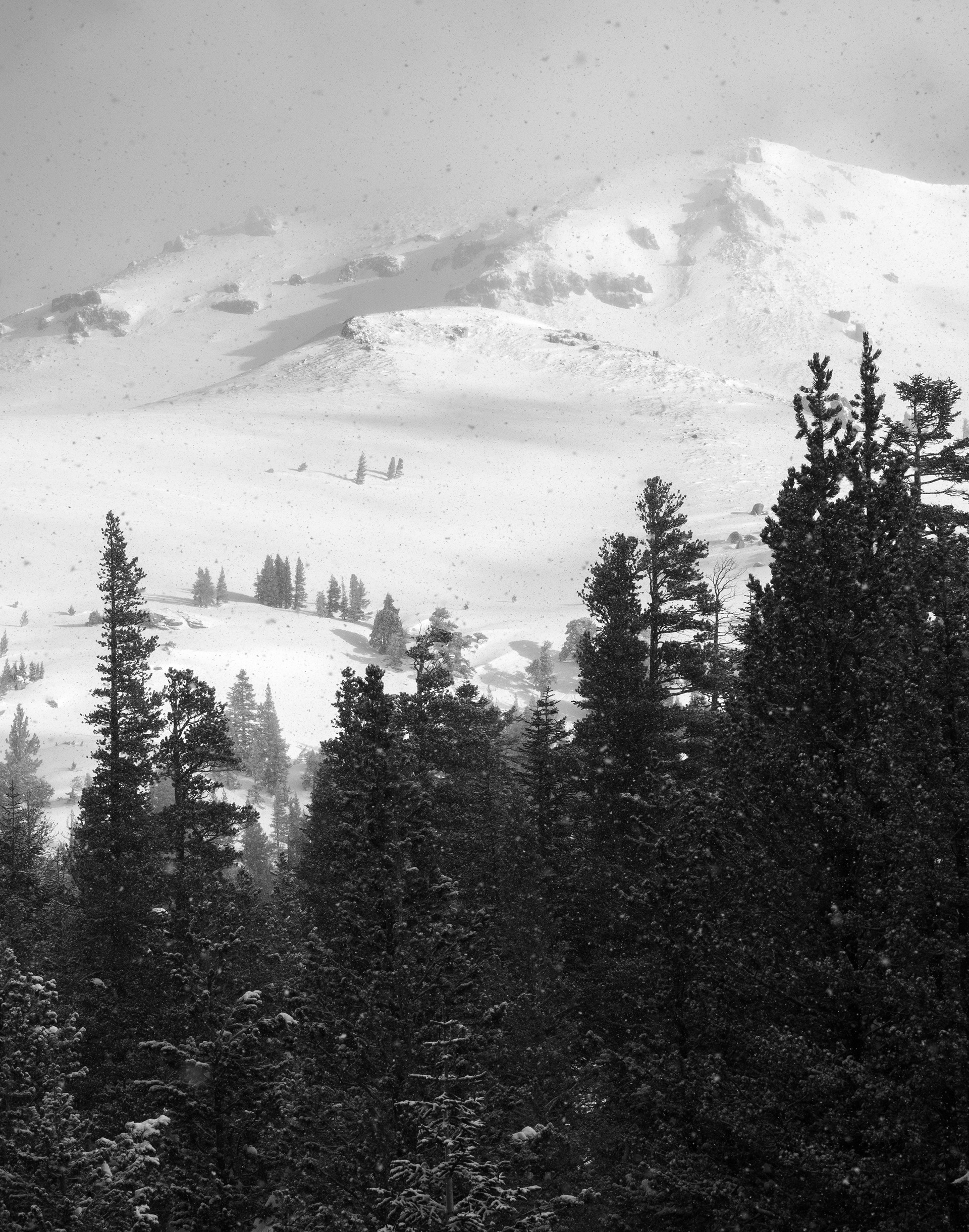 Red Lake Peak Through the Trees