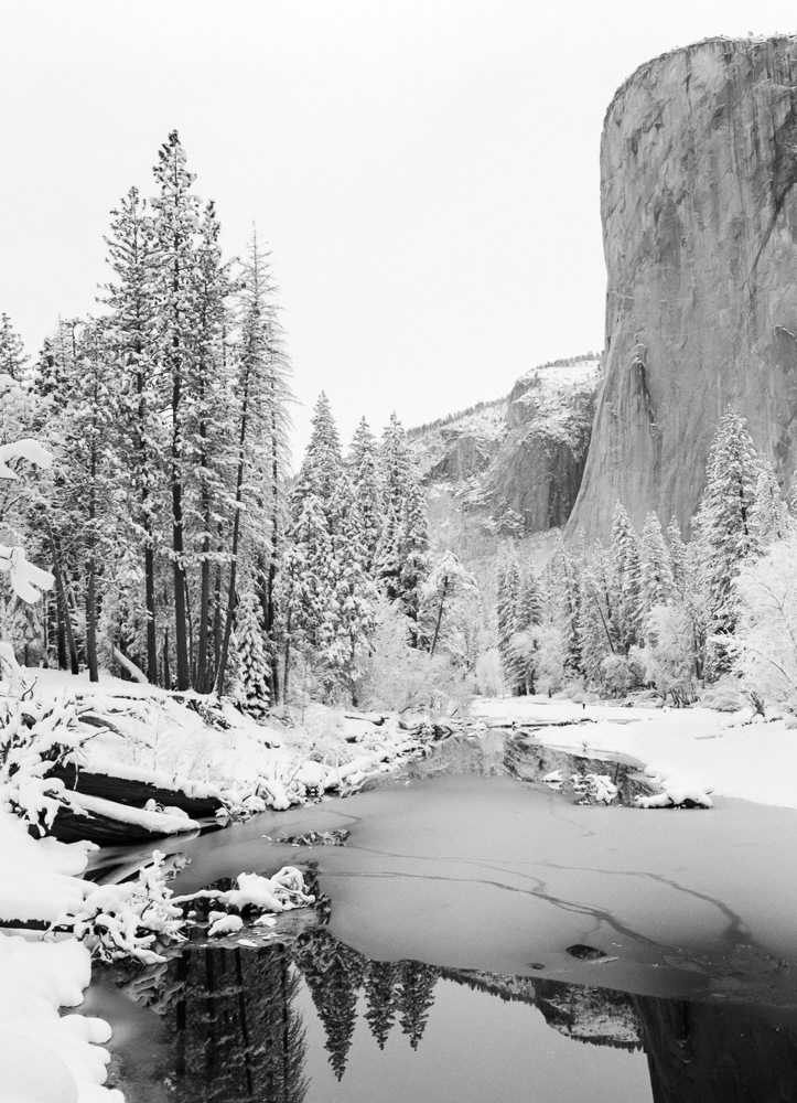 Winter Along the Merced