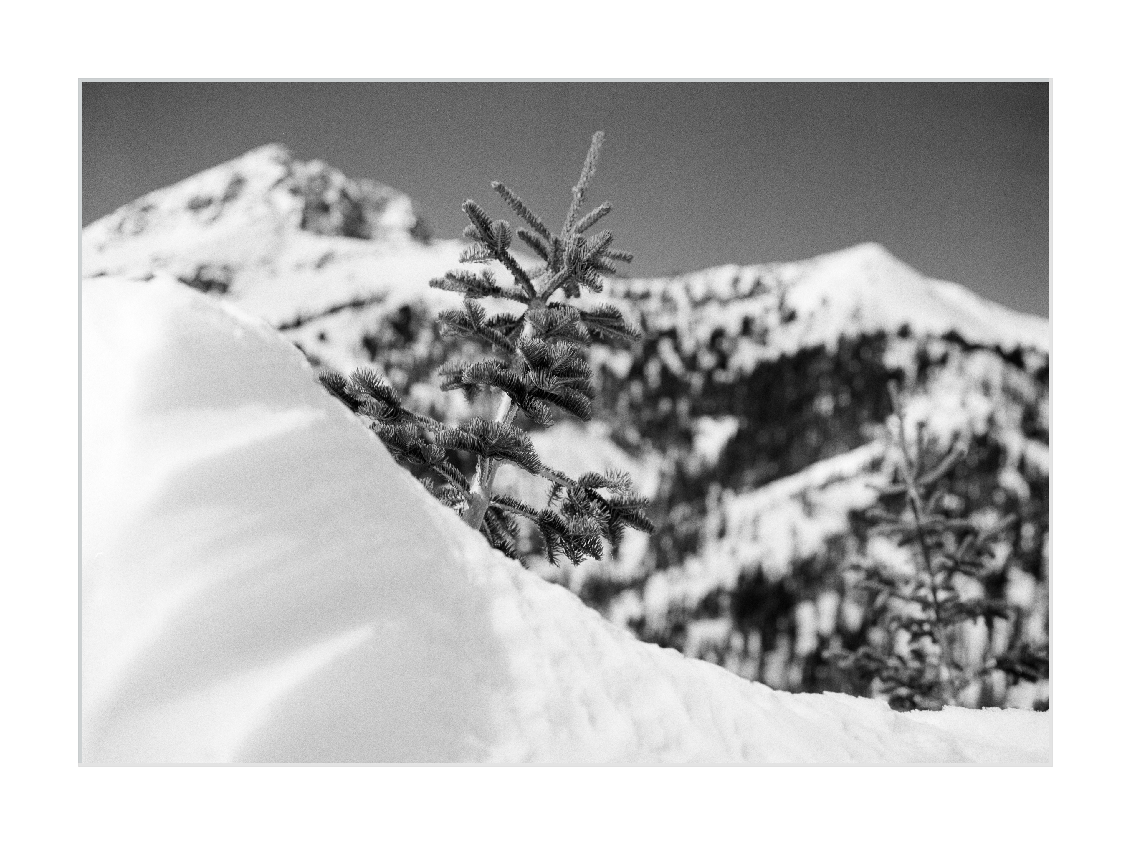 Burried in the Snow on Diamond Peak