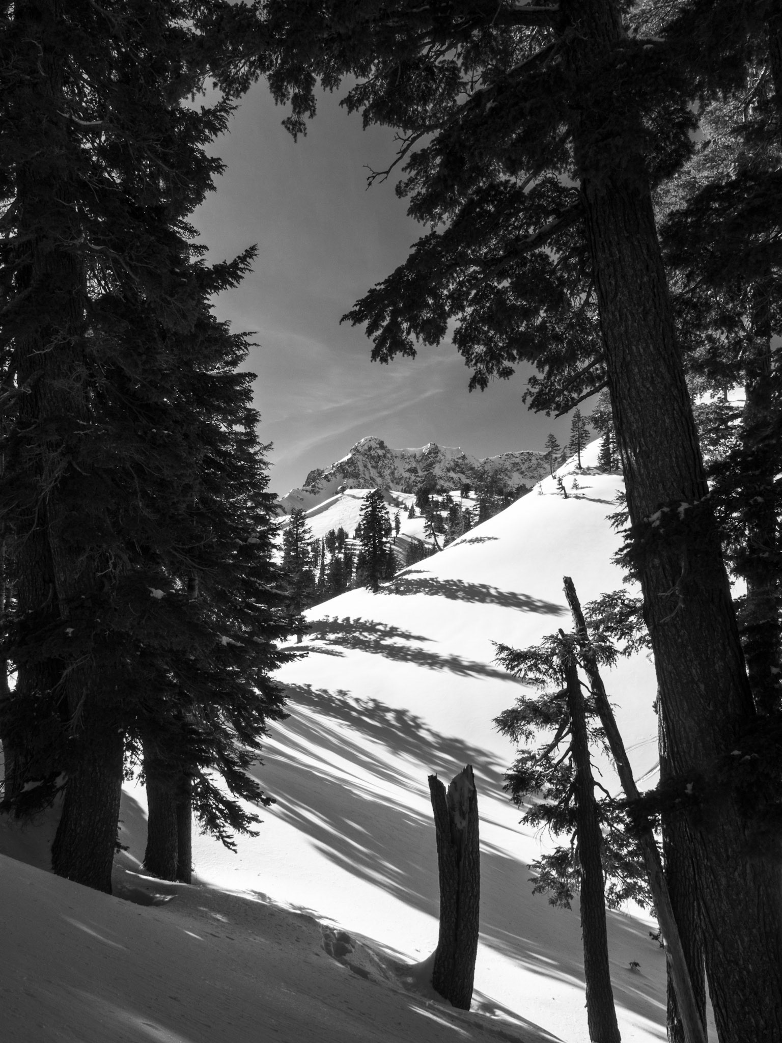 Brokeoff Mountain Seen Through the Forest