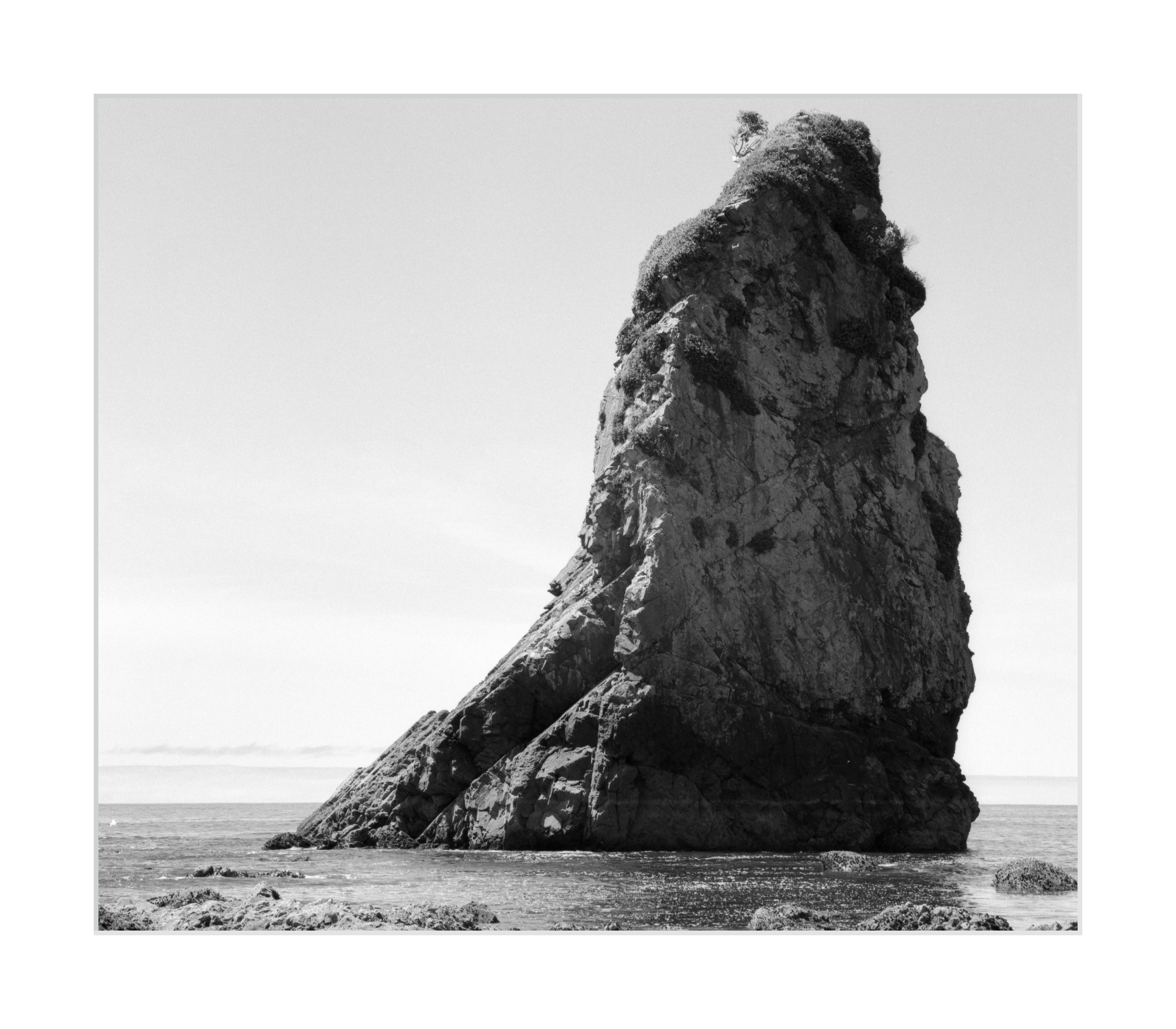An Island off the Coast of Olympic National Park