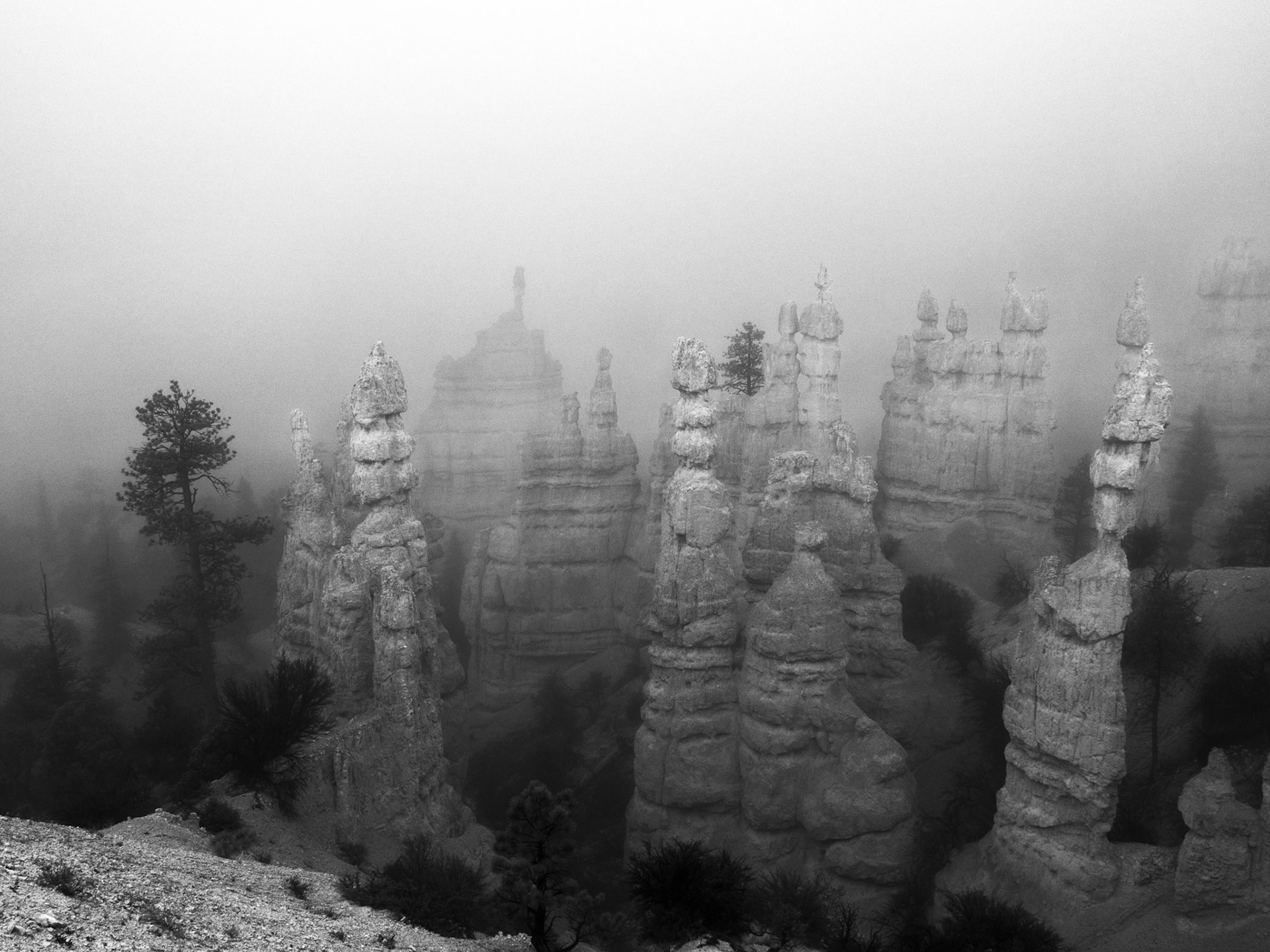 Hoodoos in the Fog 1