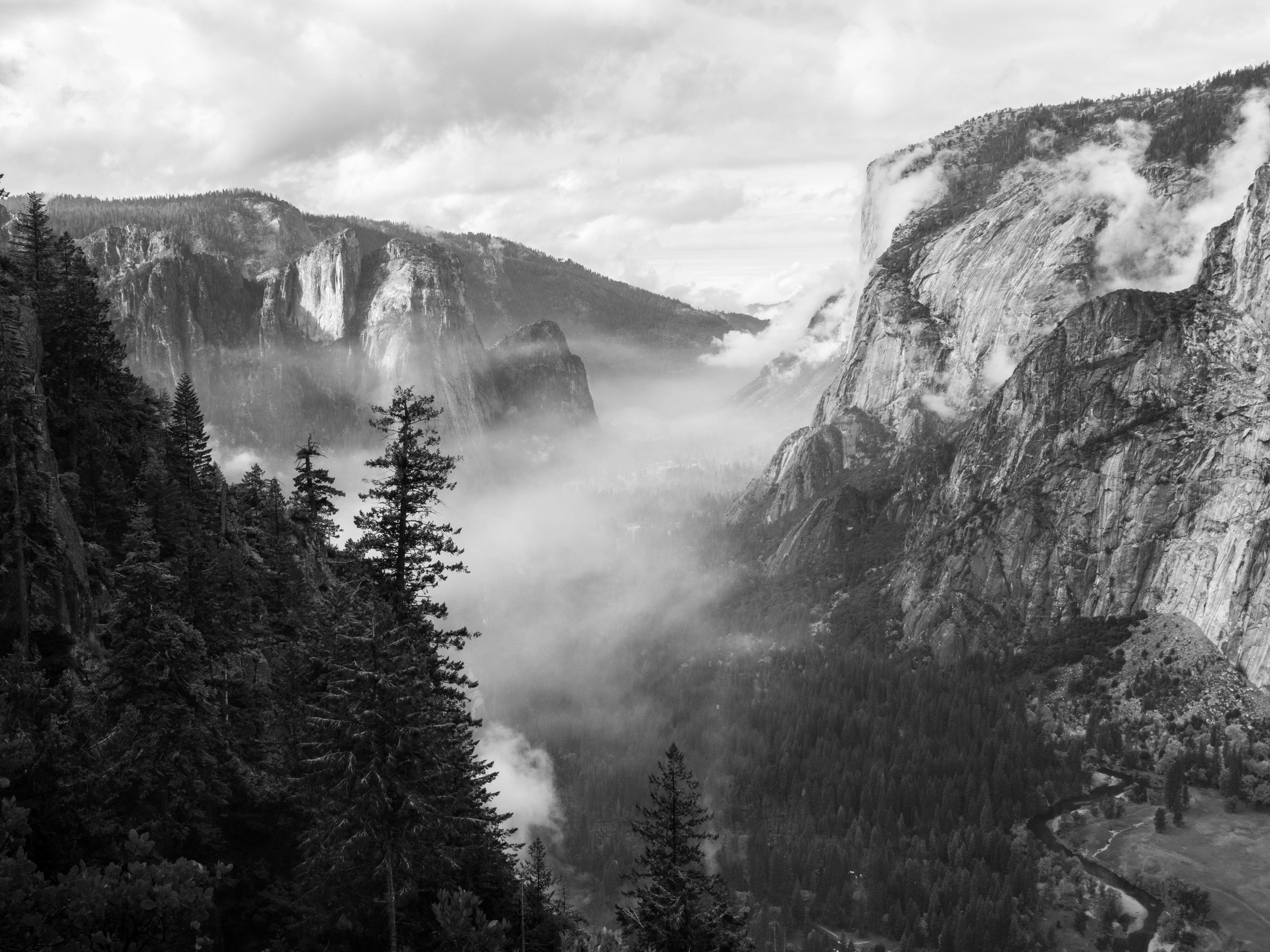 Above the Foggy Valley