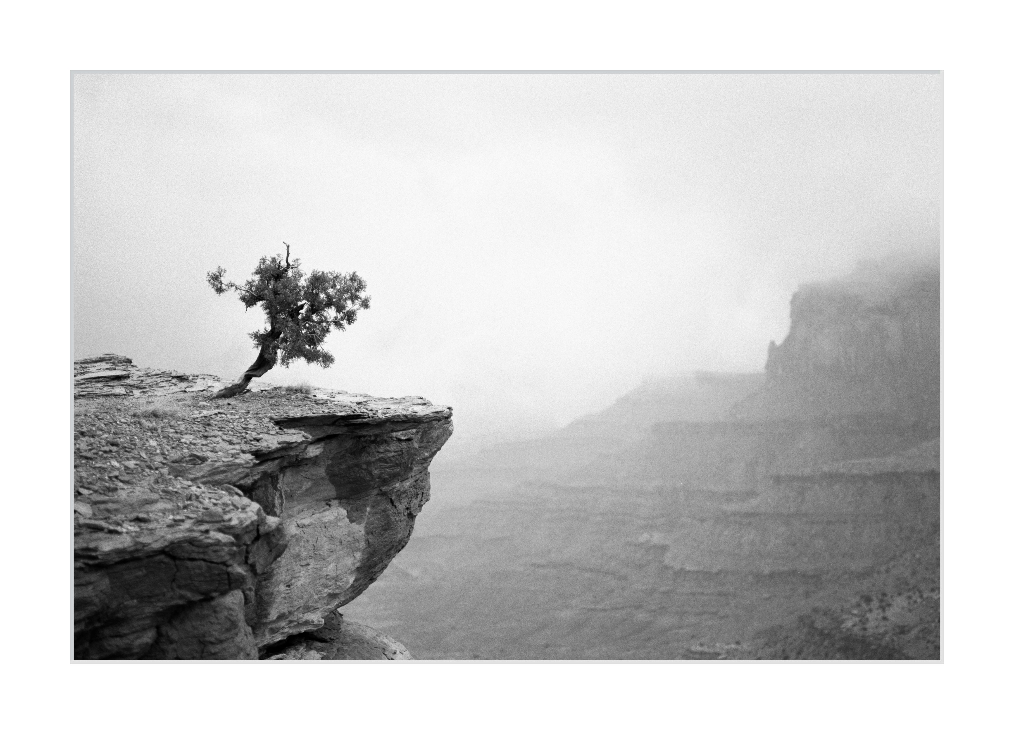 Approaching the Ledge