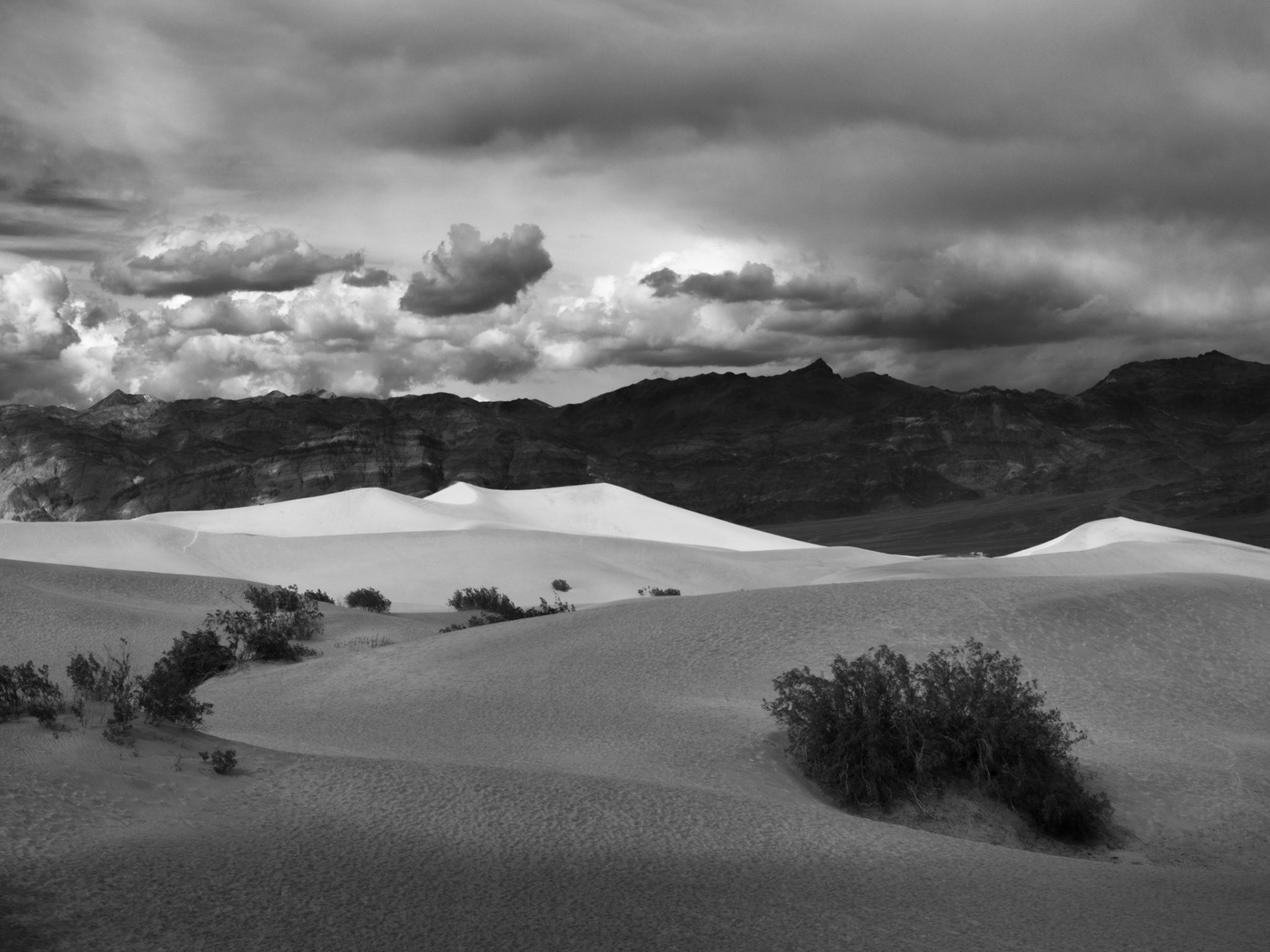 Mesquite Flat Dunes #4
