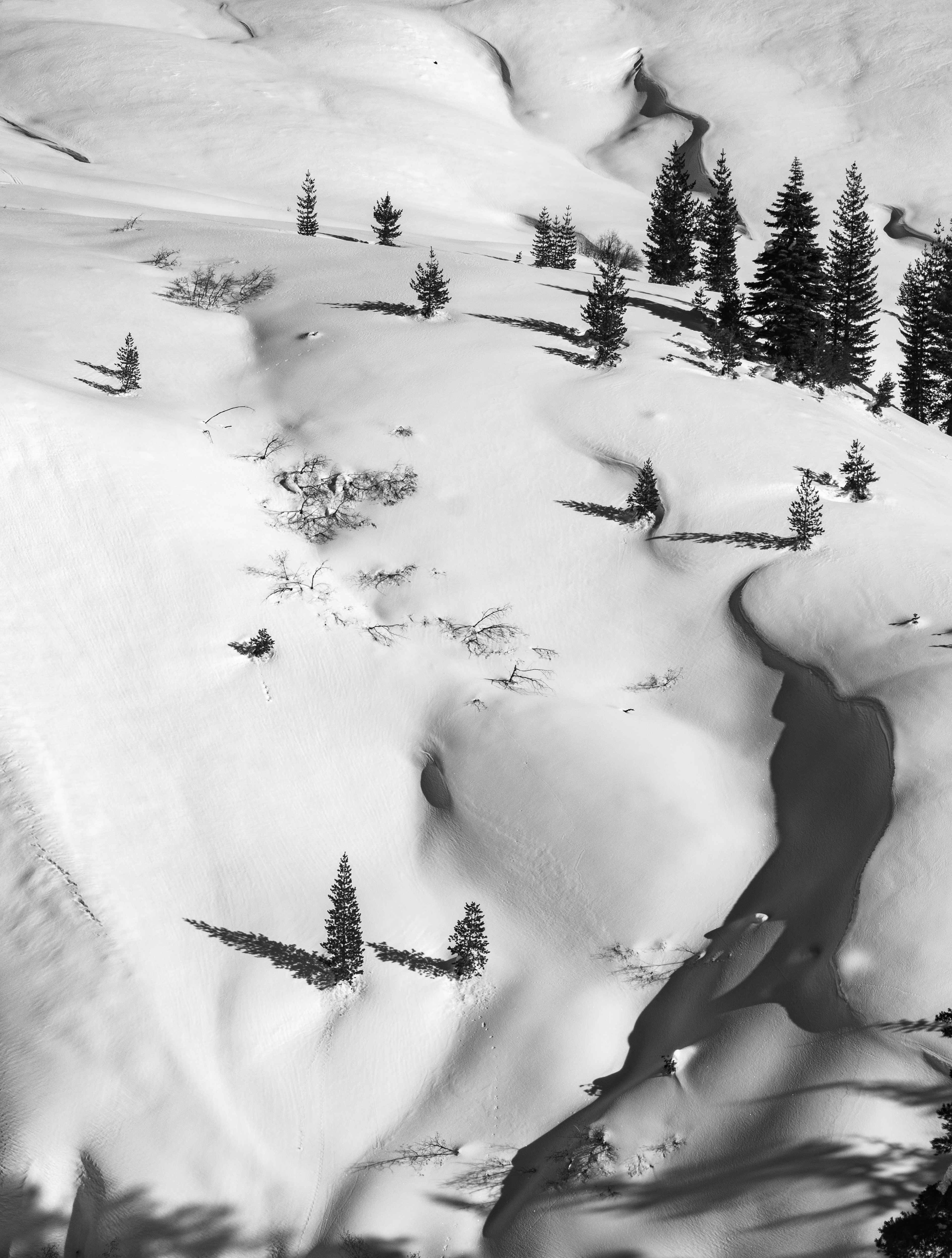 Drifting Snow #2