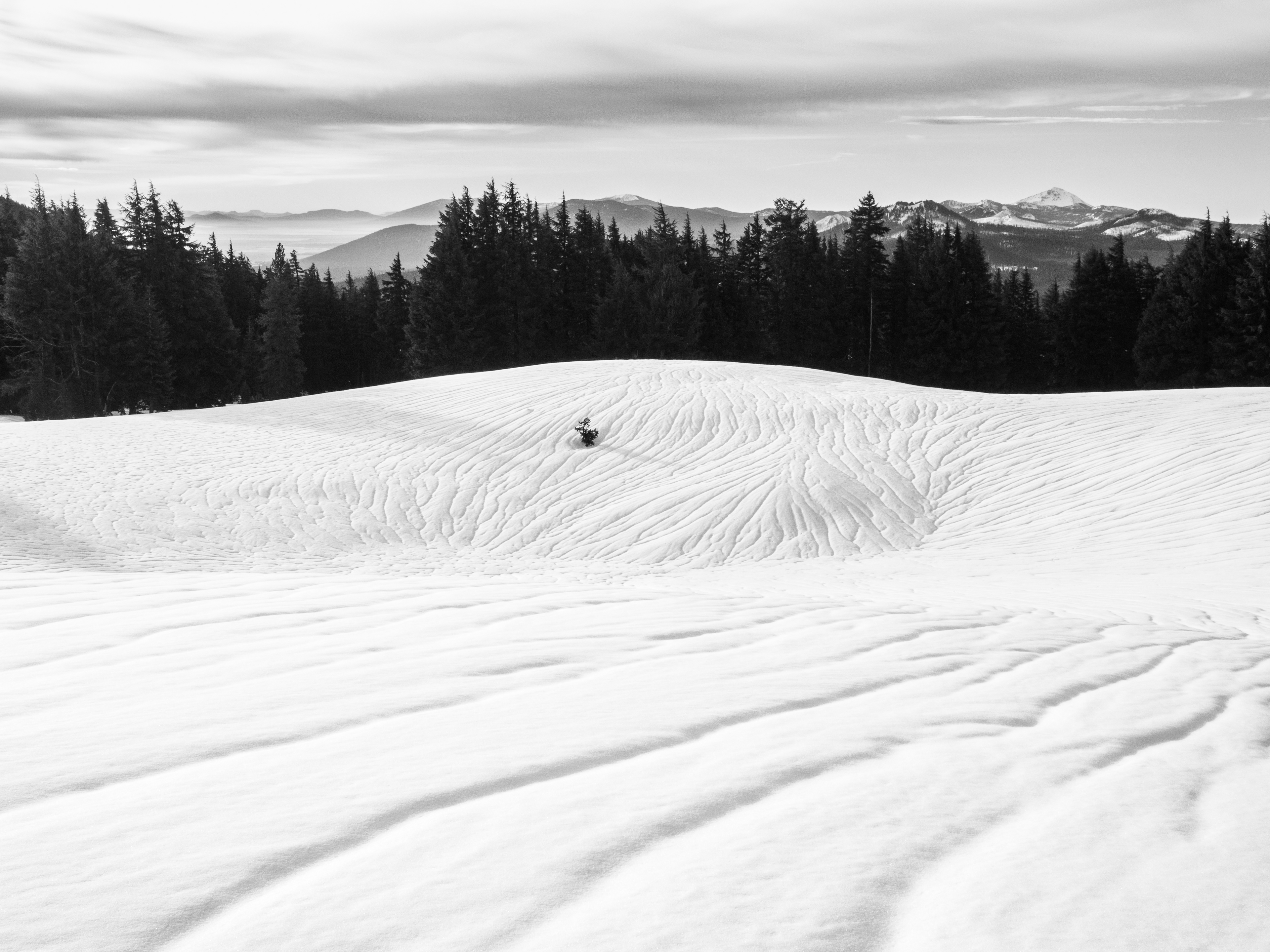 Winter Slopes at Crater Lake