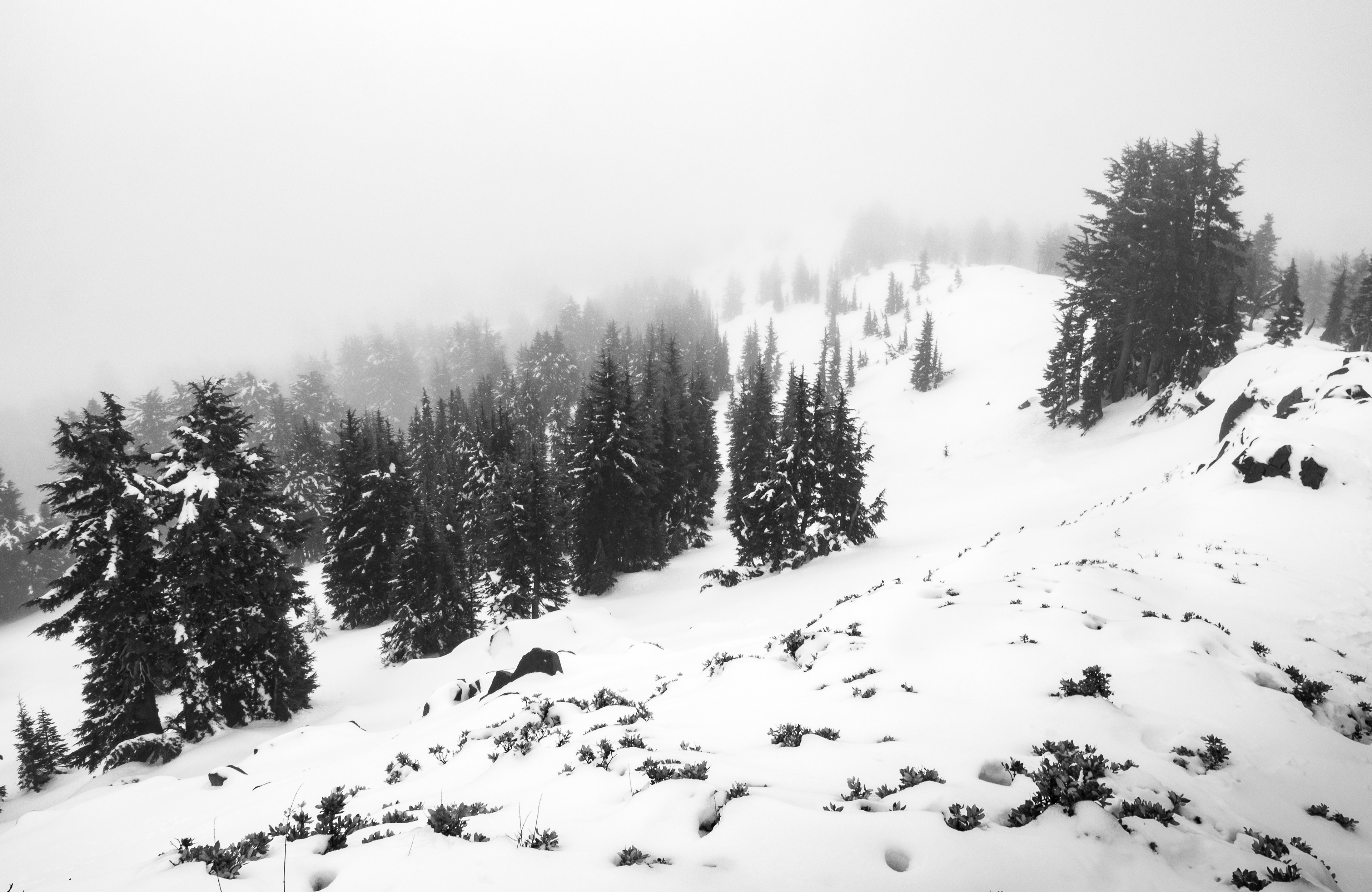 Ascending a Ridge in Winter, to Brokeoff Mountain