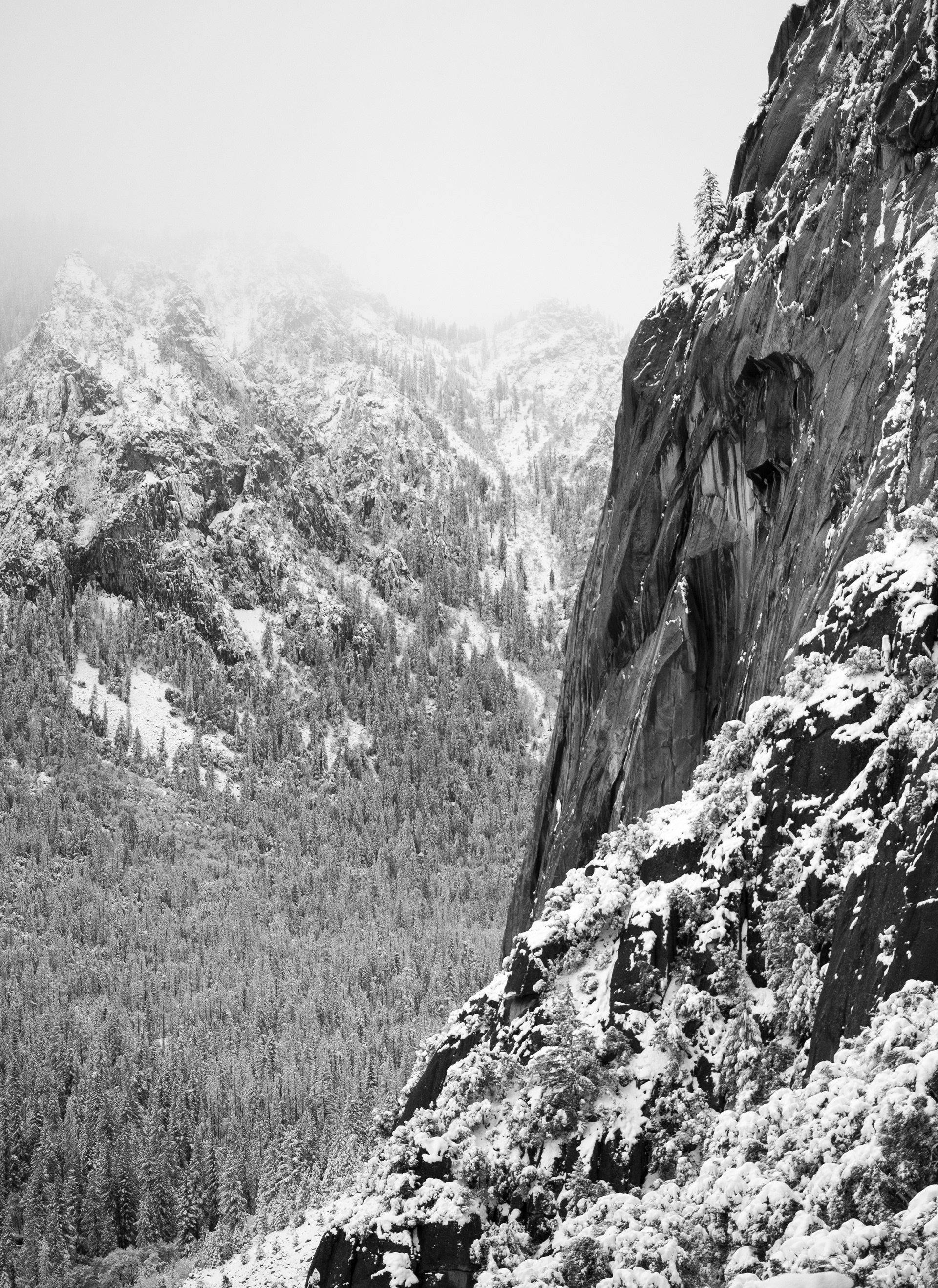 Winter on the Cliffs