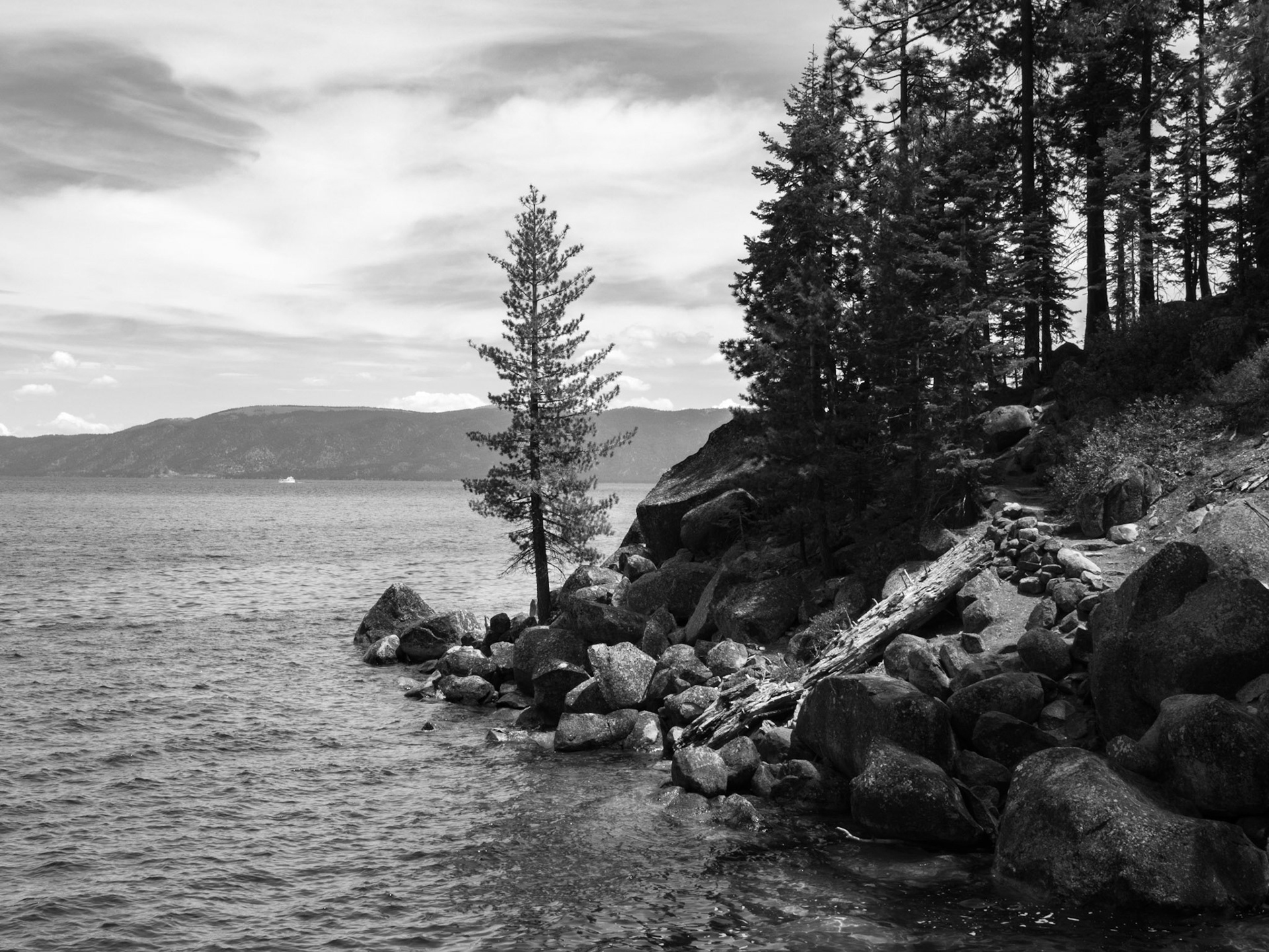 The Shore of Lake Tahoe