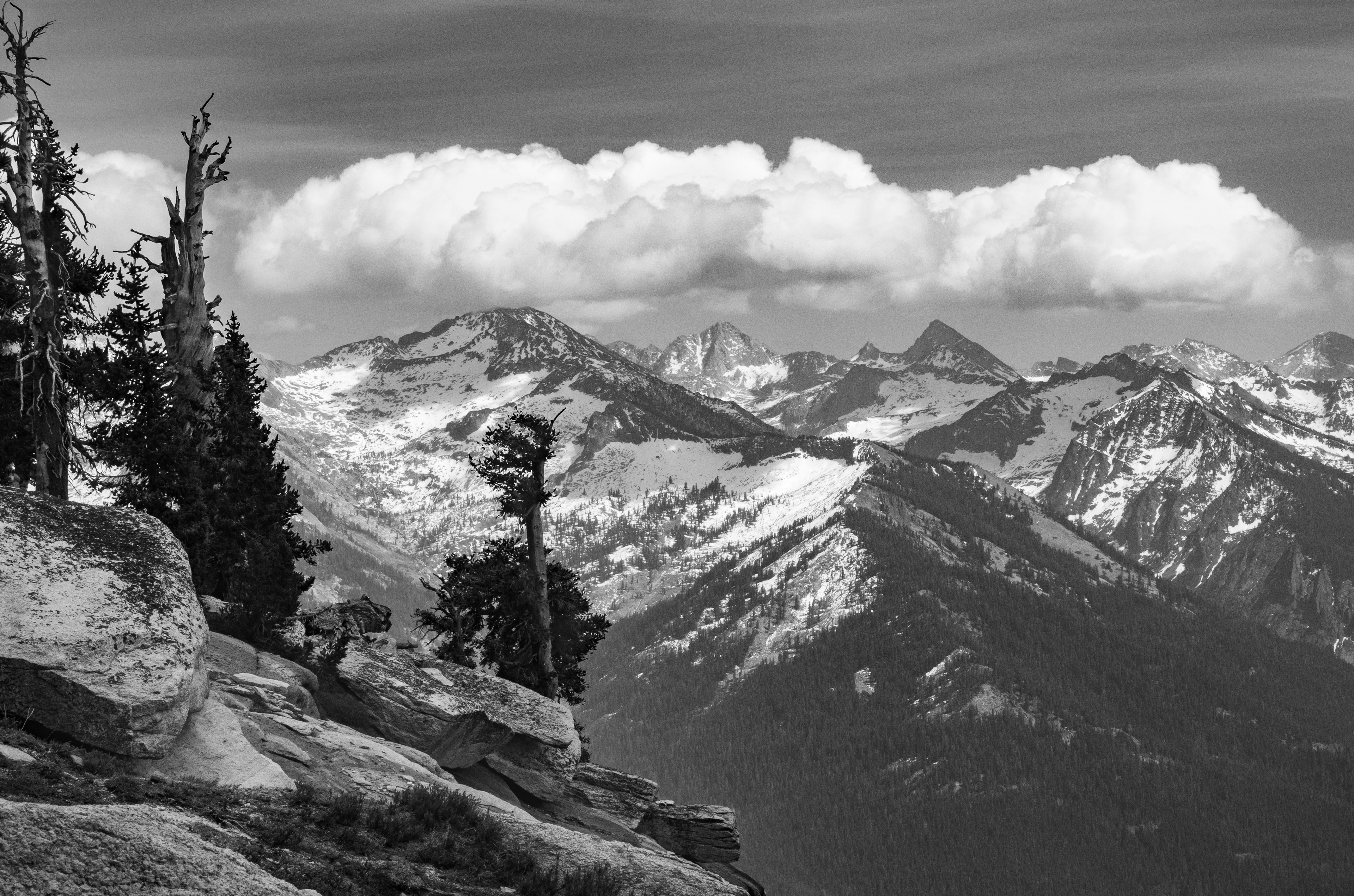 Ascending Alta Peak