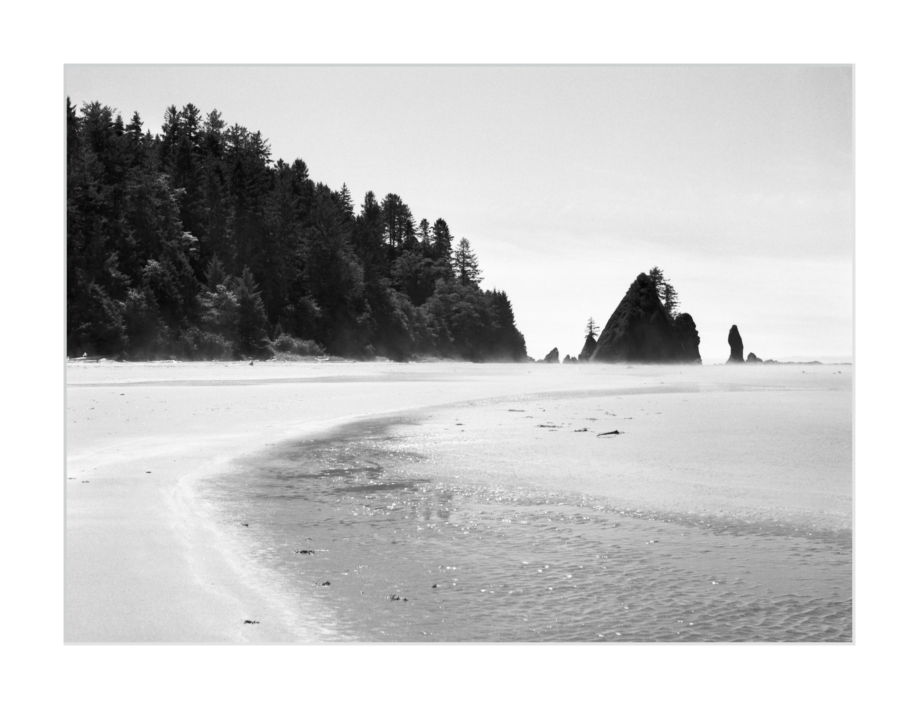 On a Beach in Olympic National Park