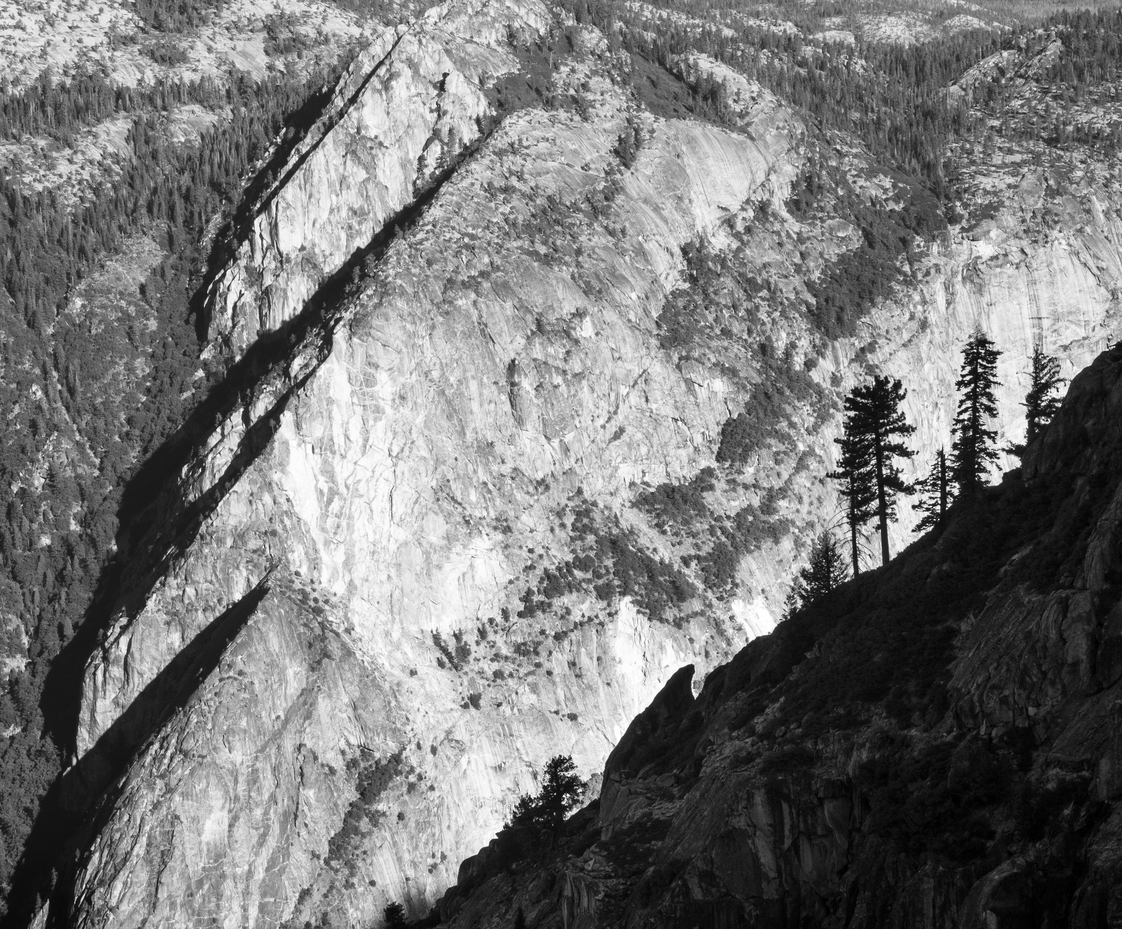 The Three Brothers Seen From Taft Point