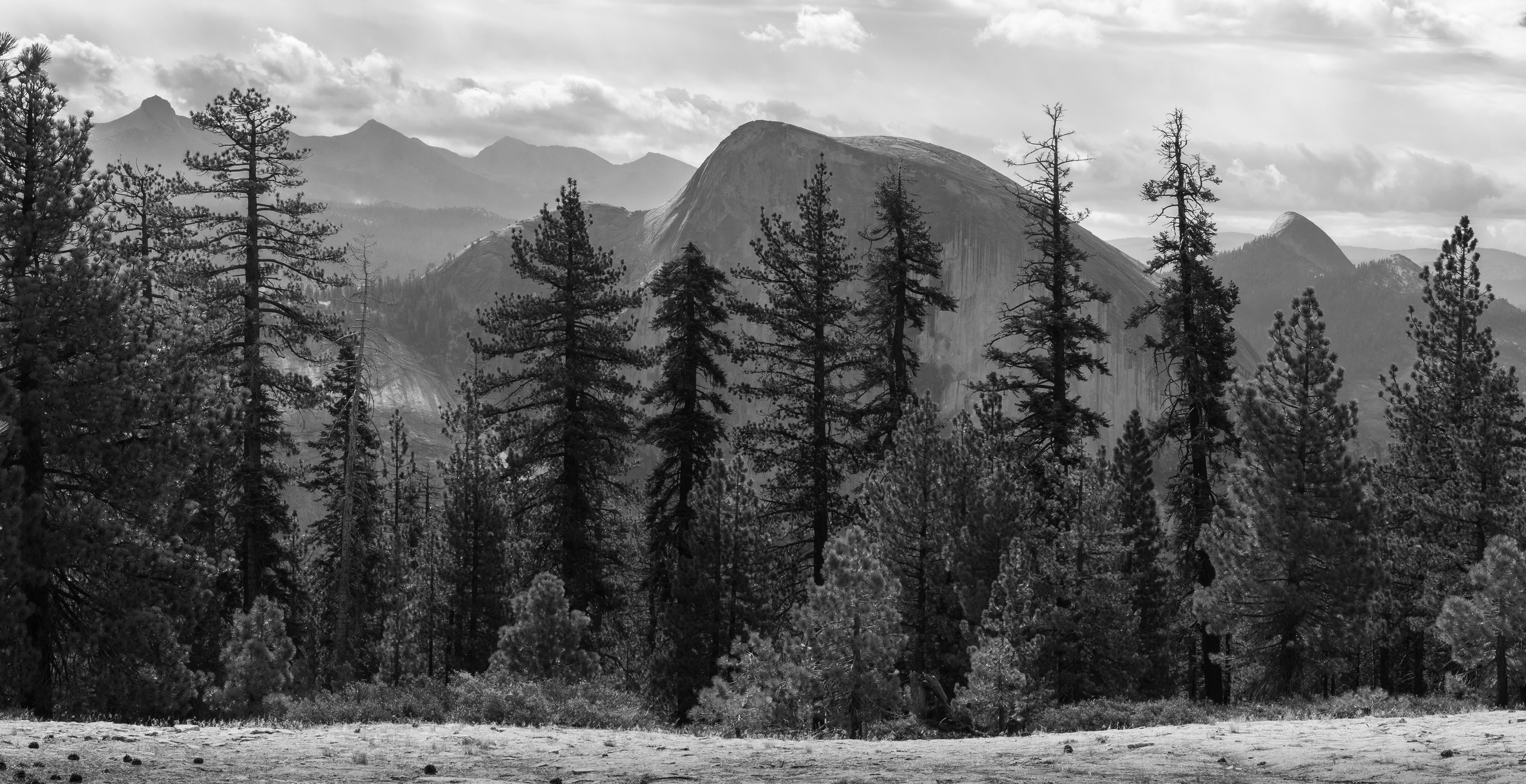 Half Dome Through the Trees