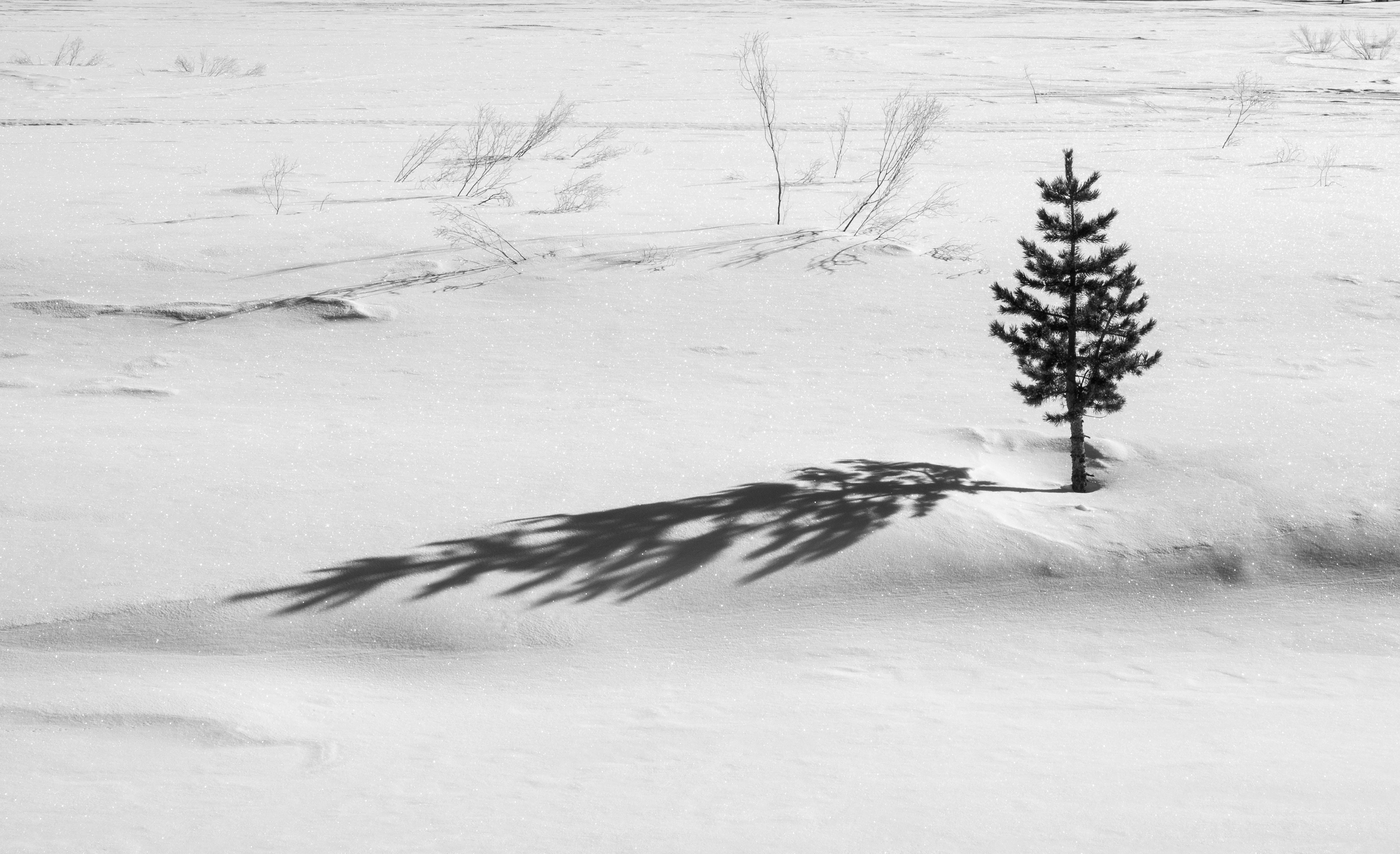 Aspirational Shadow