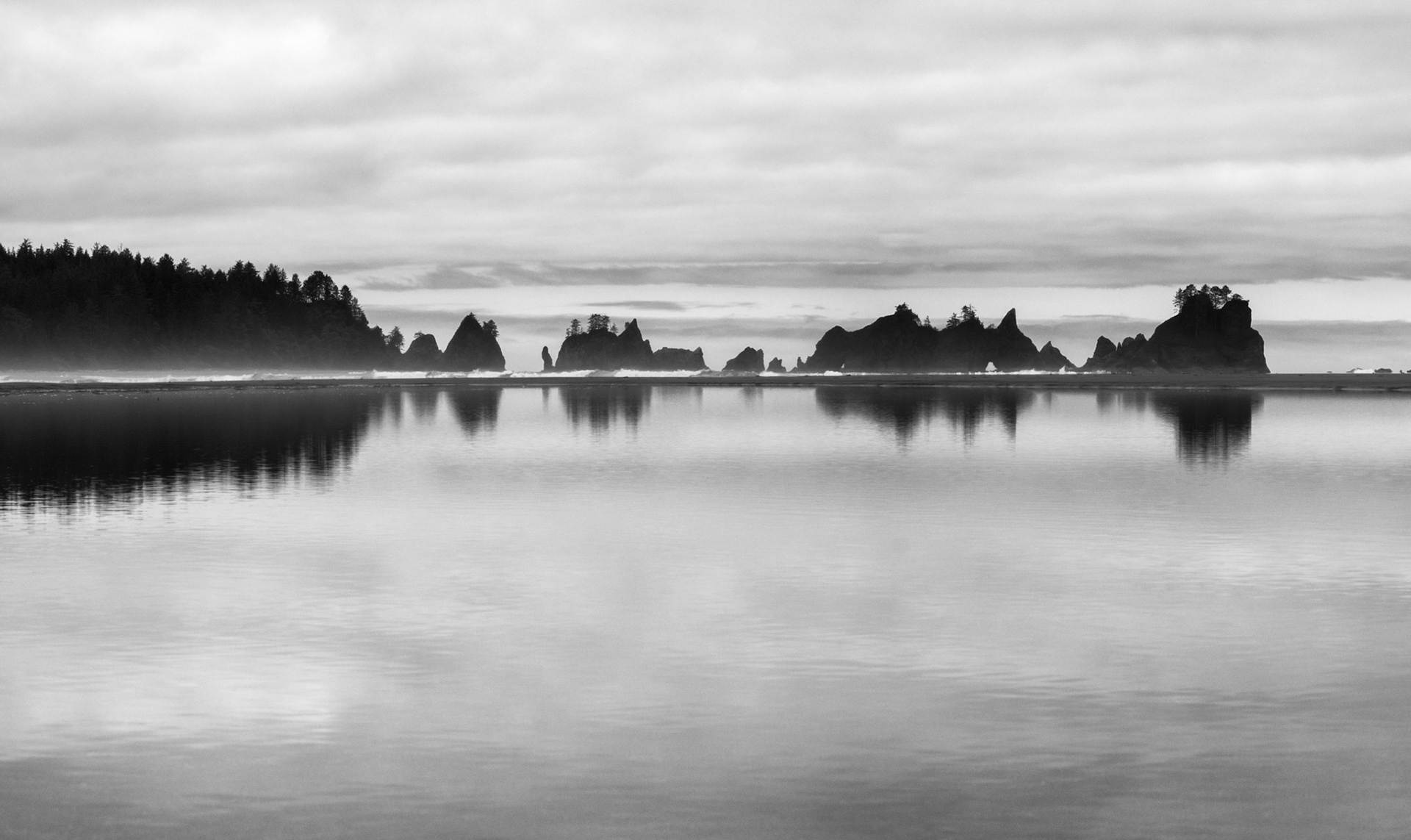 Olympic Coast Landscape