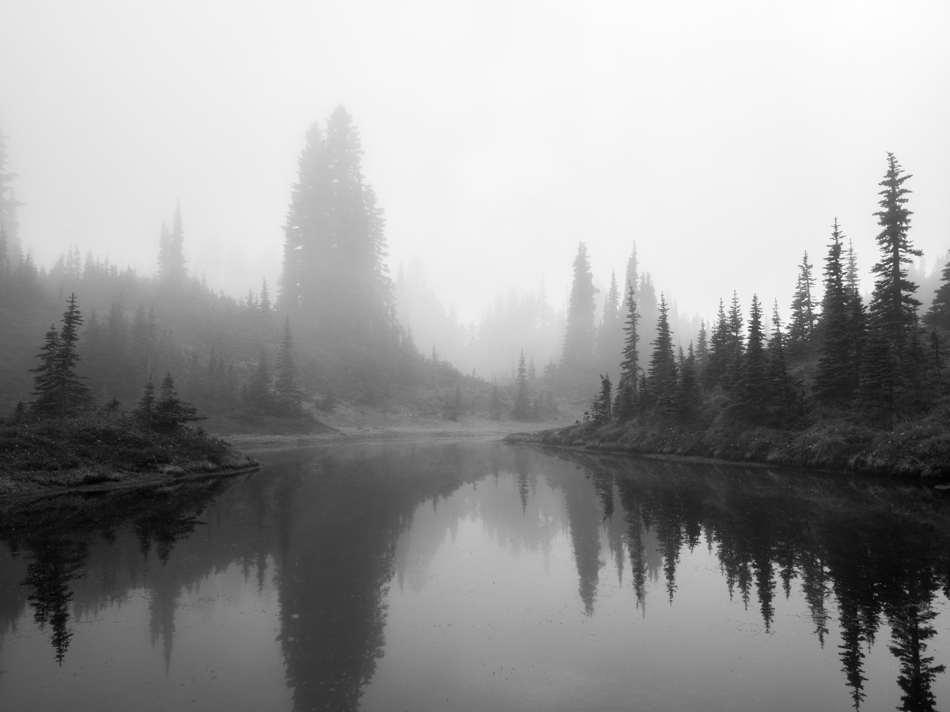 Edge of a Lake in the Fog