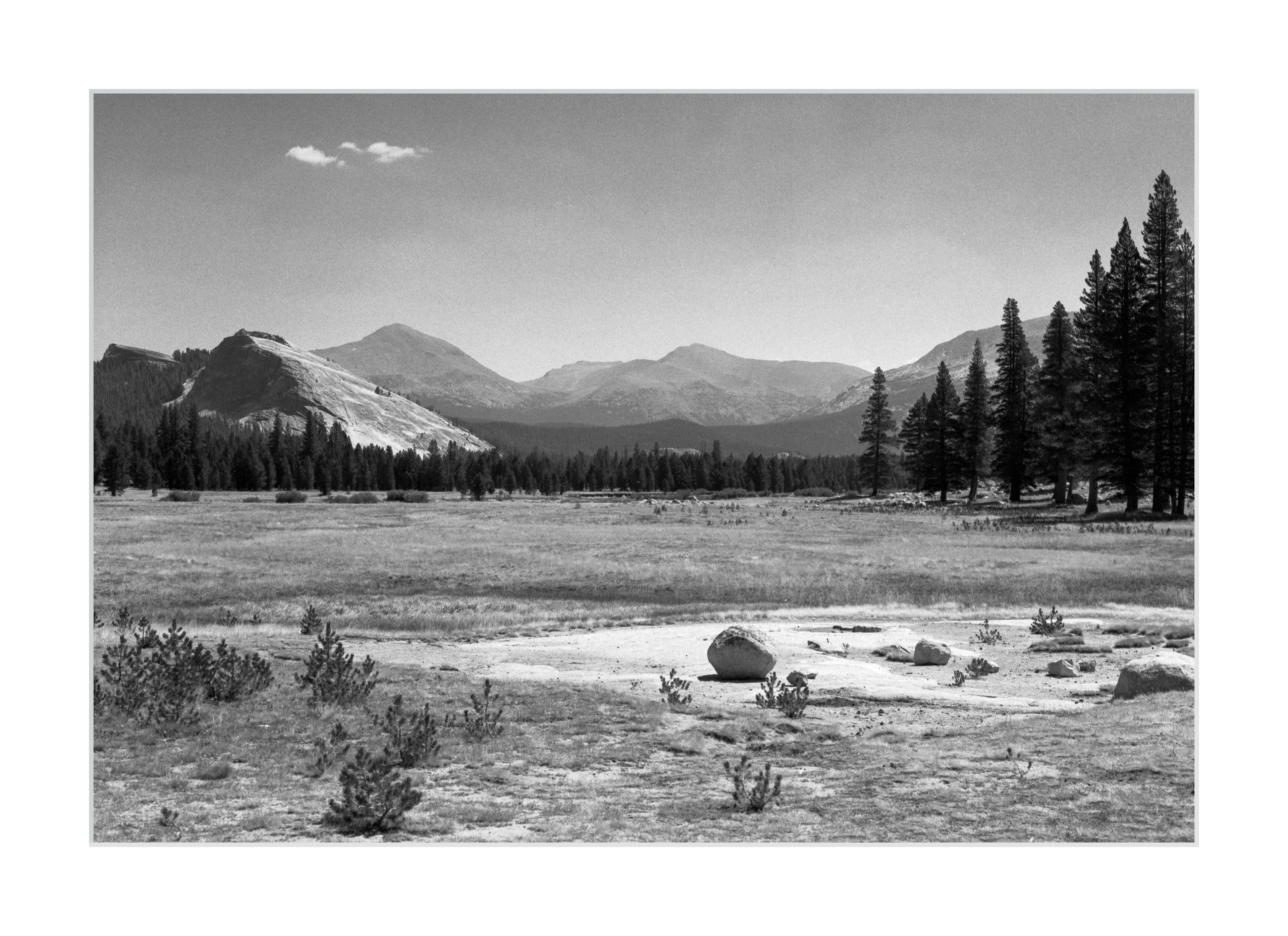 Tuolumne Meadows