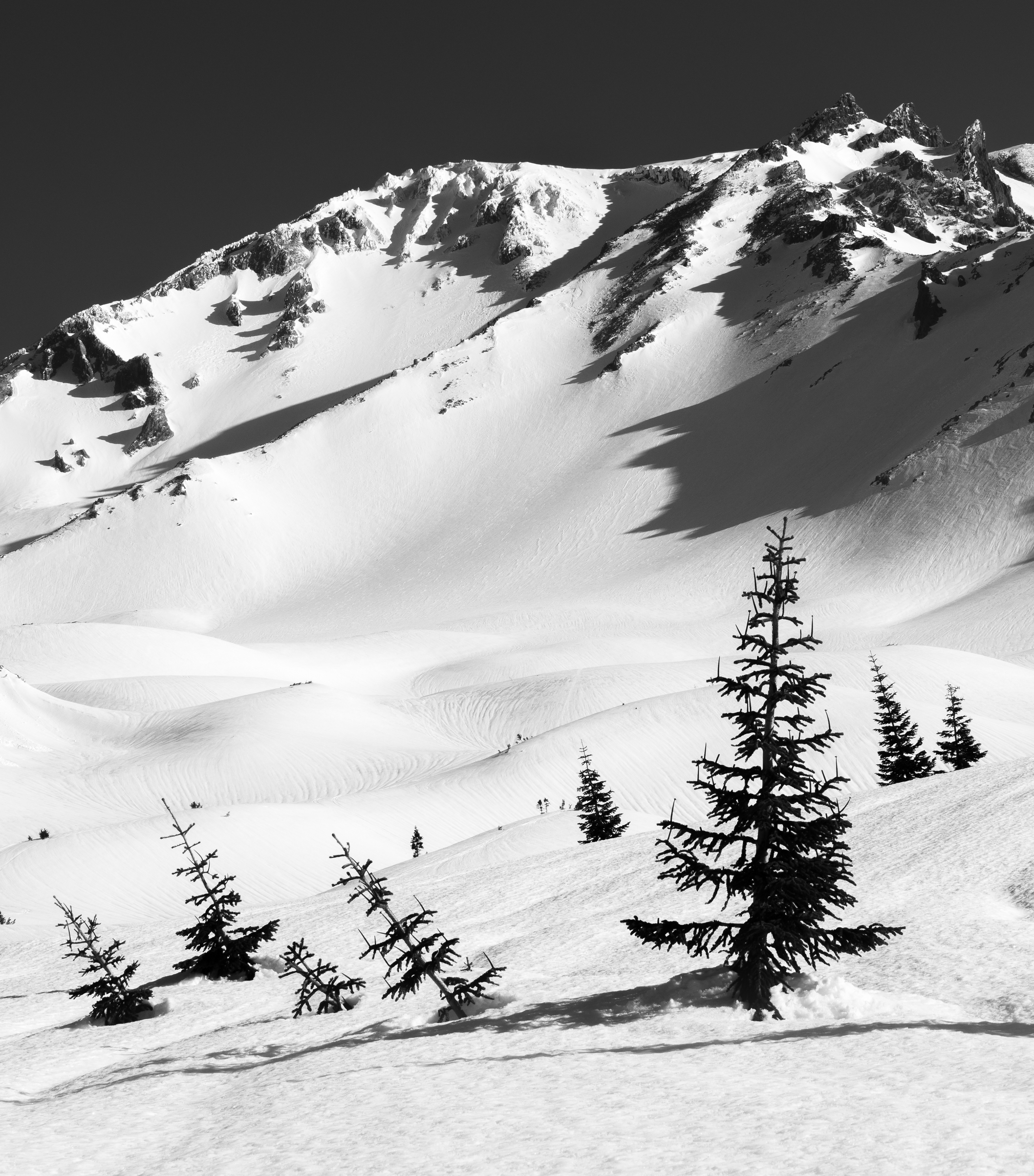 Winter Landscape in Old Ski Bowl #1