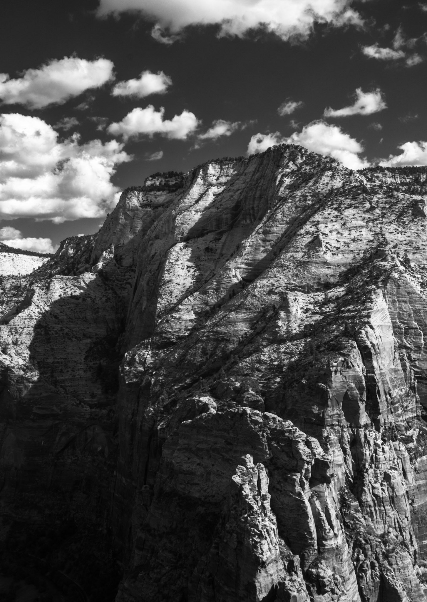 Canyon Rim of Zion