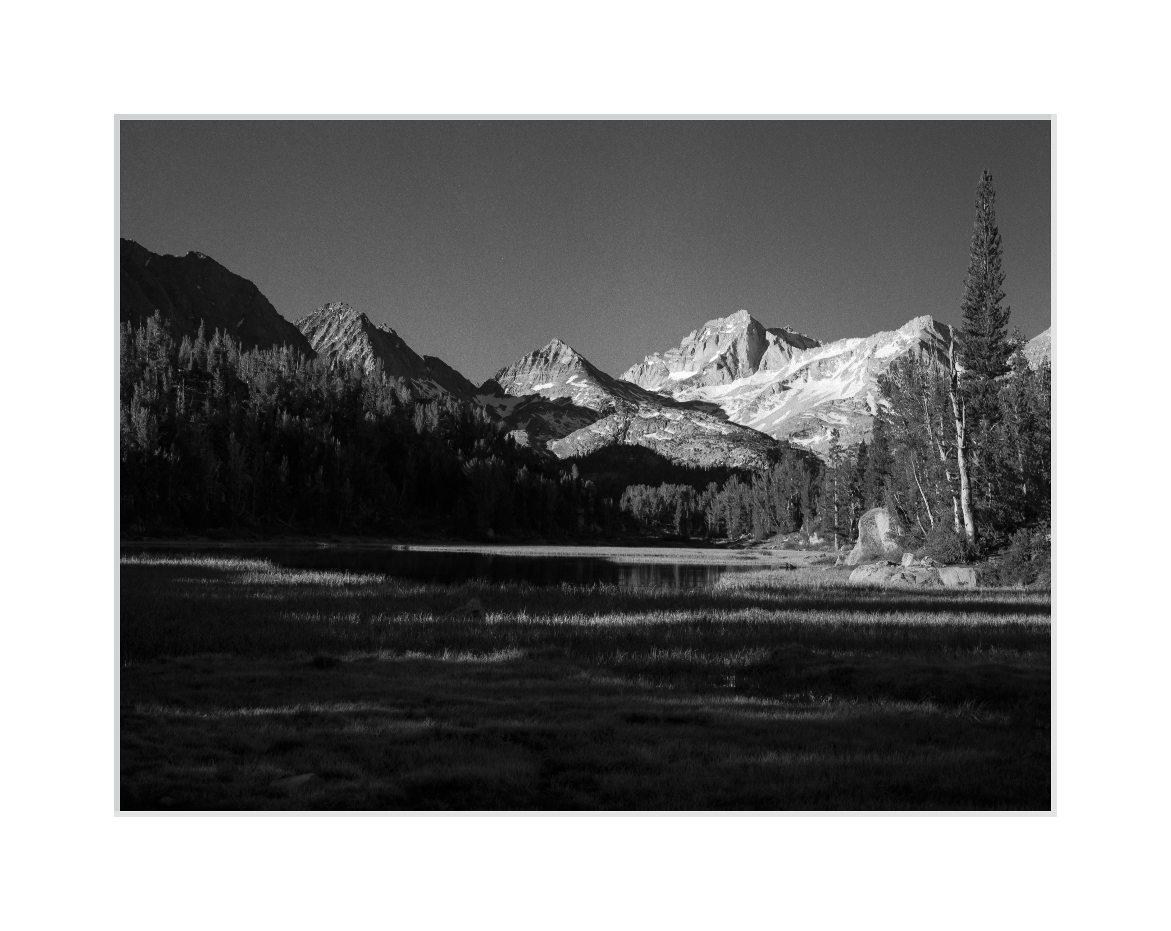 Meadow and Lake