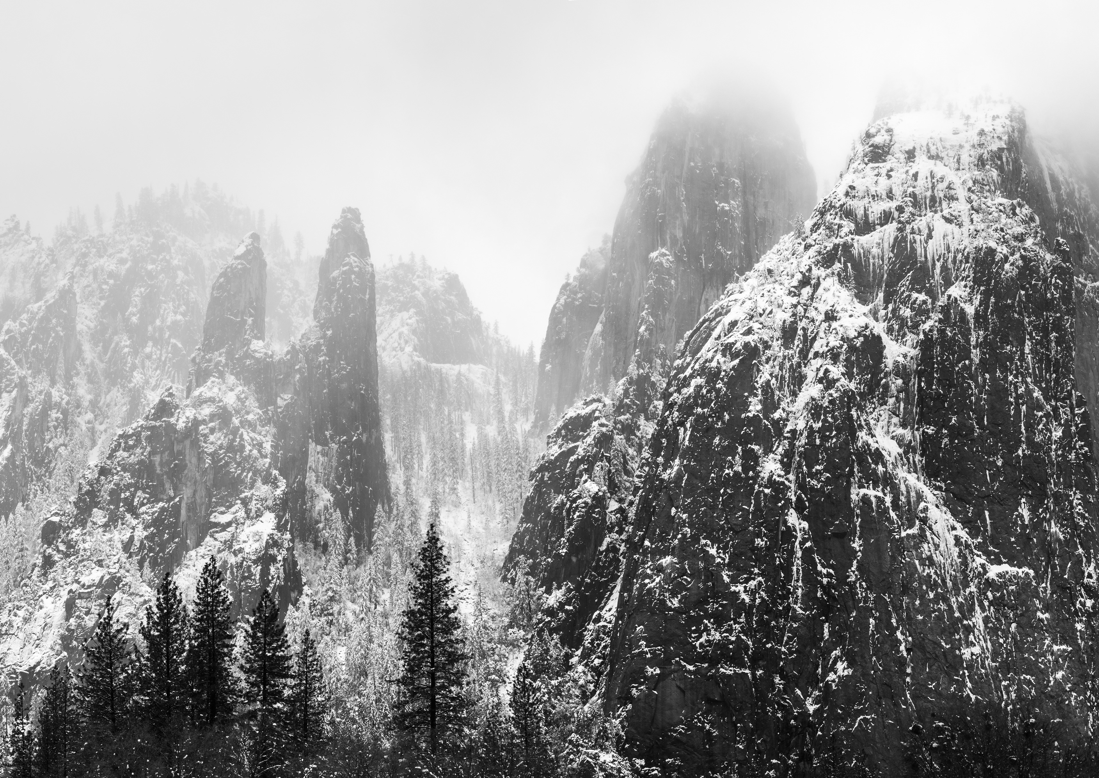 Cathedral Spires and Cathedral Rocks in Winter Fog