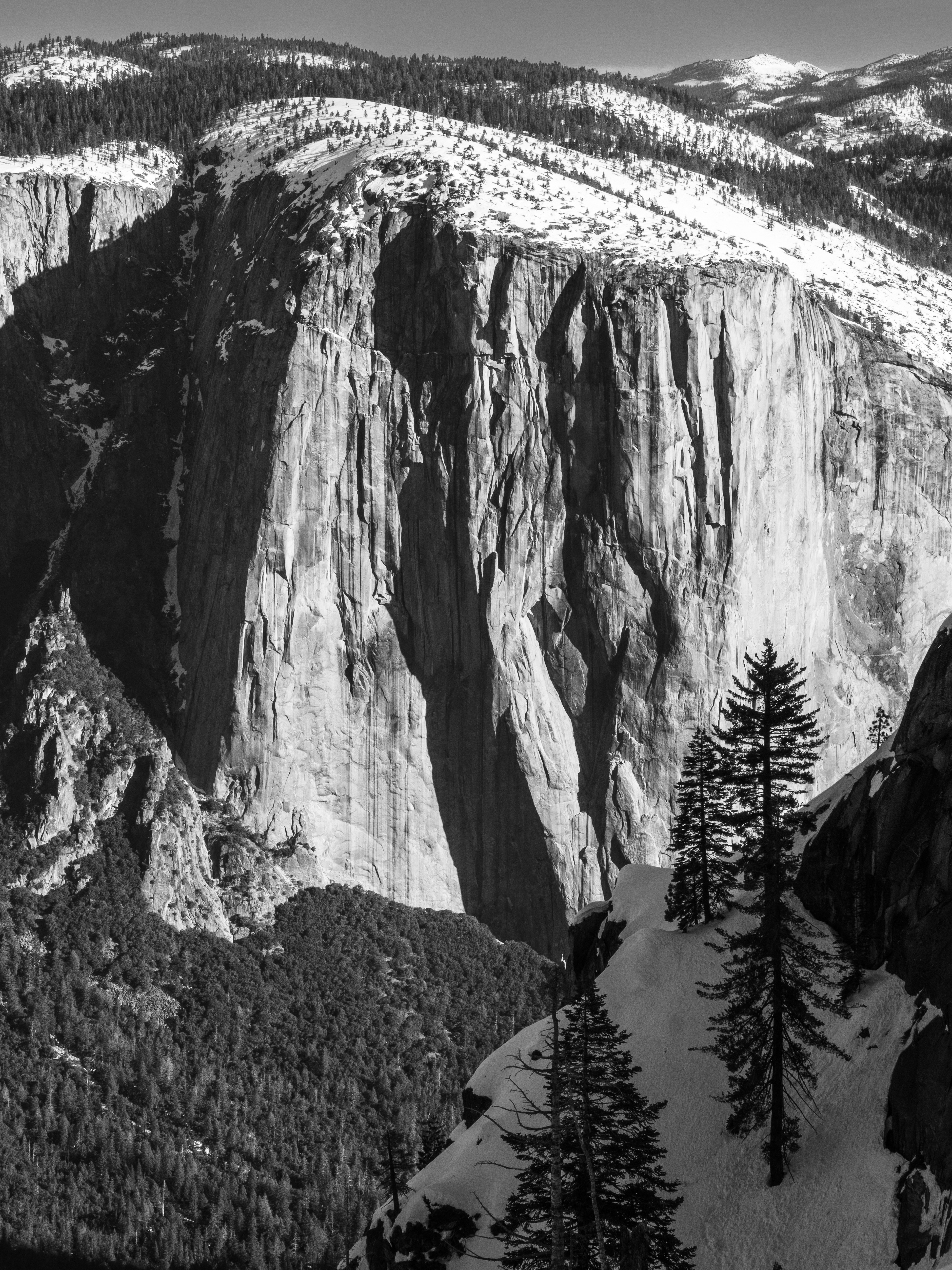 Trees on Snow Covered Cliffs at Crocker Point