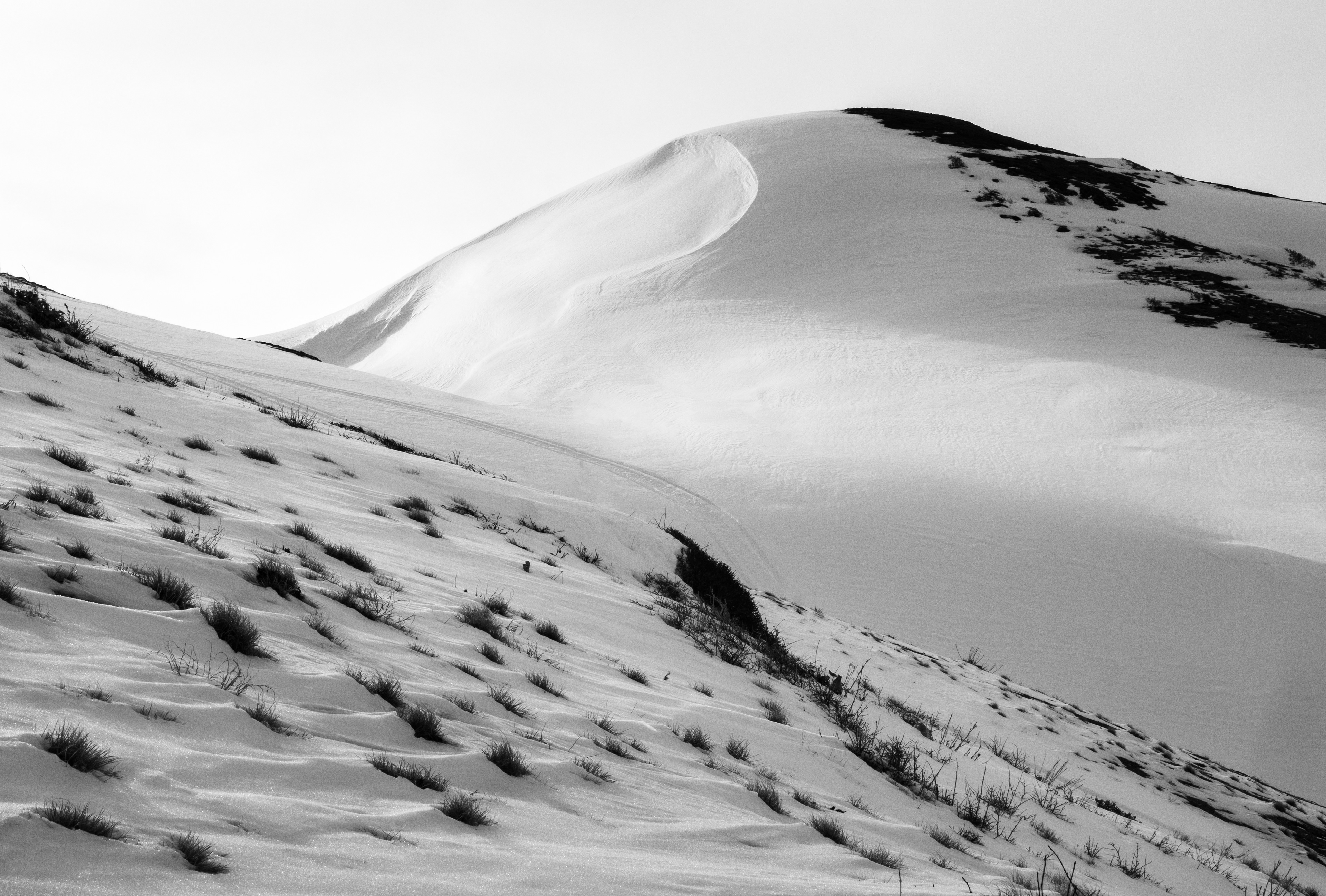 Drifting Snow on the Mountains of Humboldt-Toiyabe National Forest