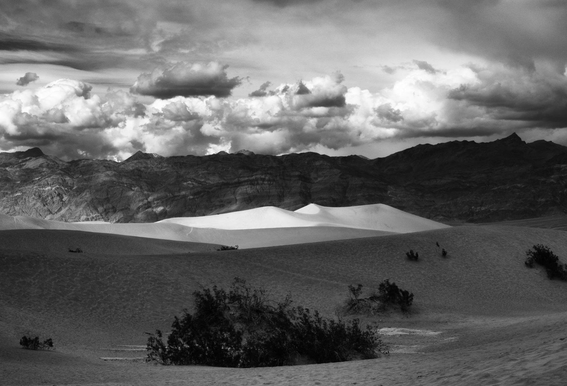 Mesquite Flat Dunes #3